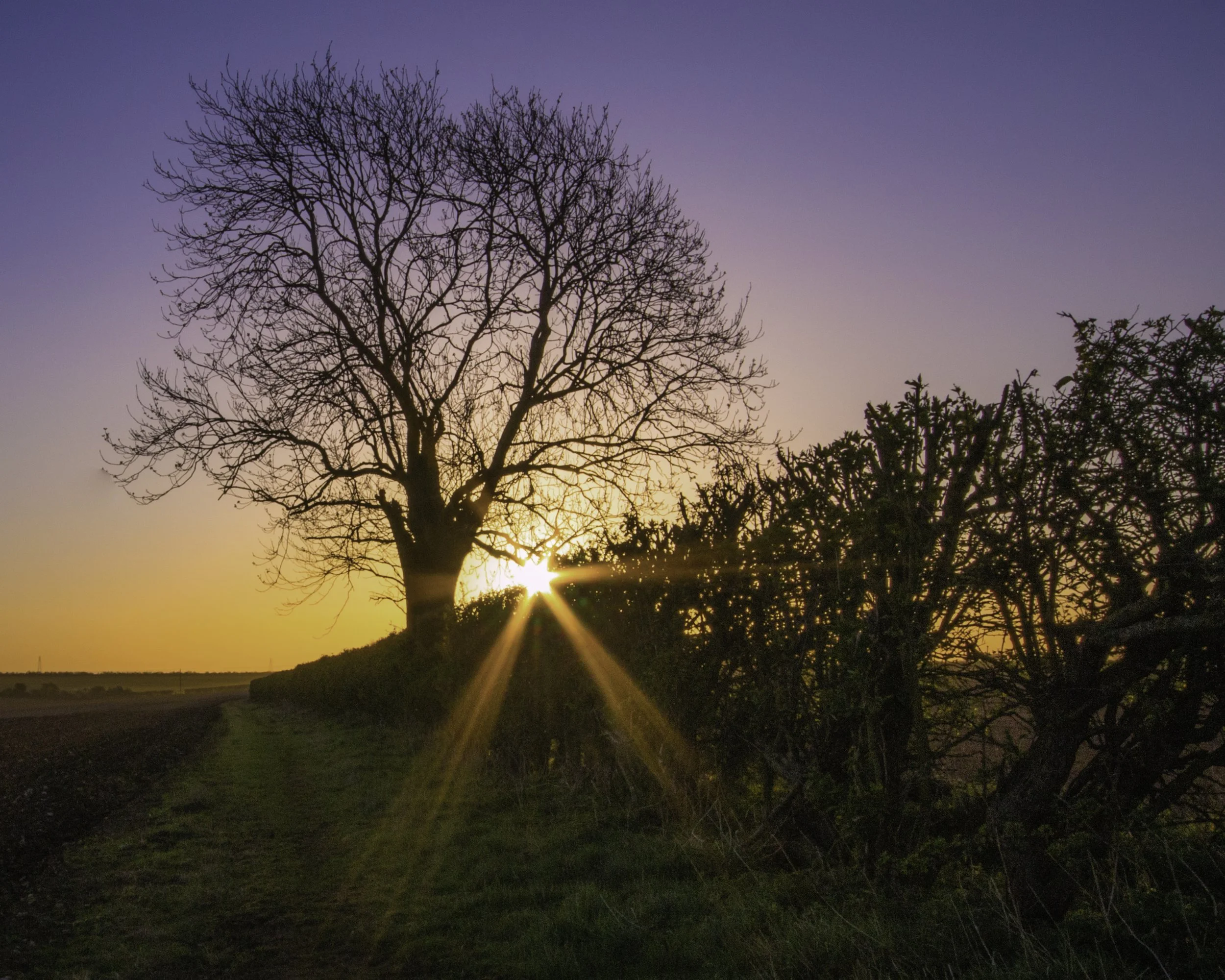 Sunrise_on_the_Wolds_10_x_8.jpg