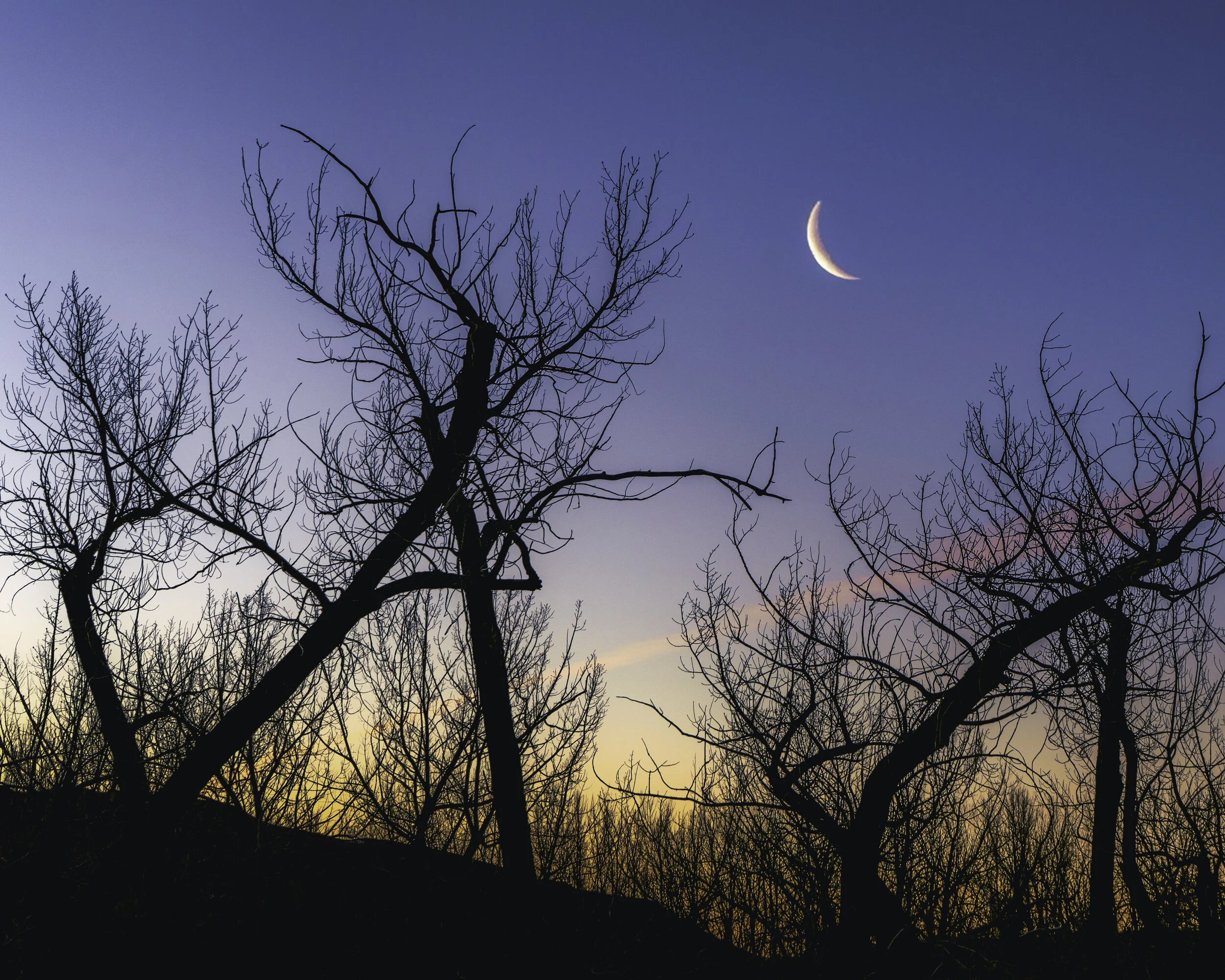 Quarter Moon Police Point Park 2020.jpg