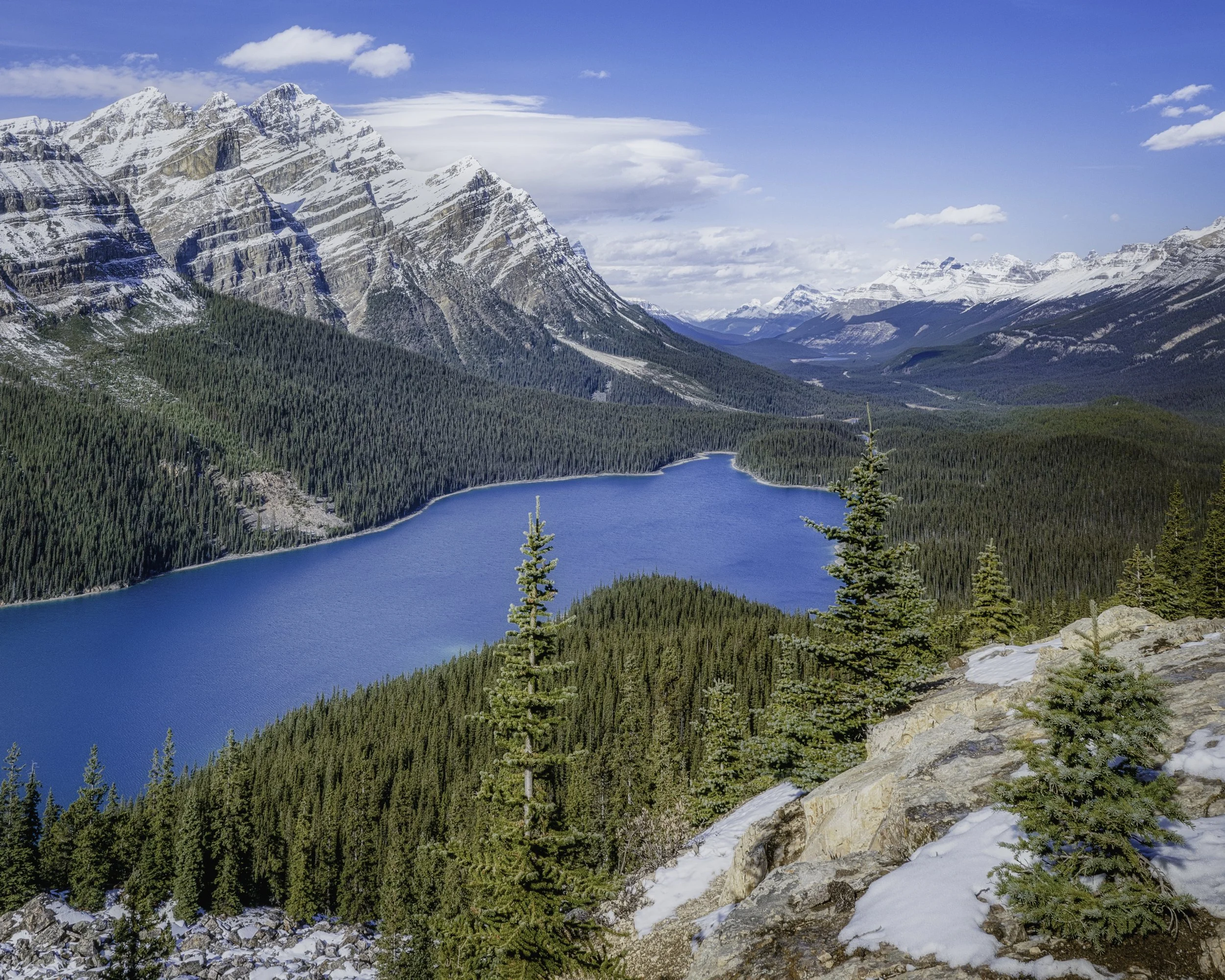 Peyto Lake Oct 2021 .jpg