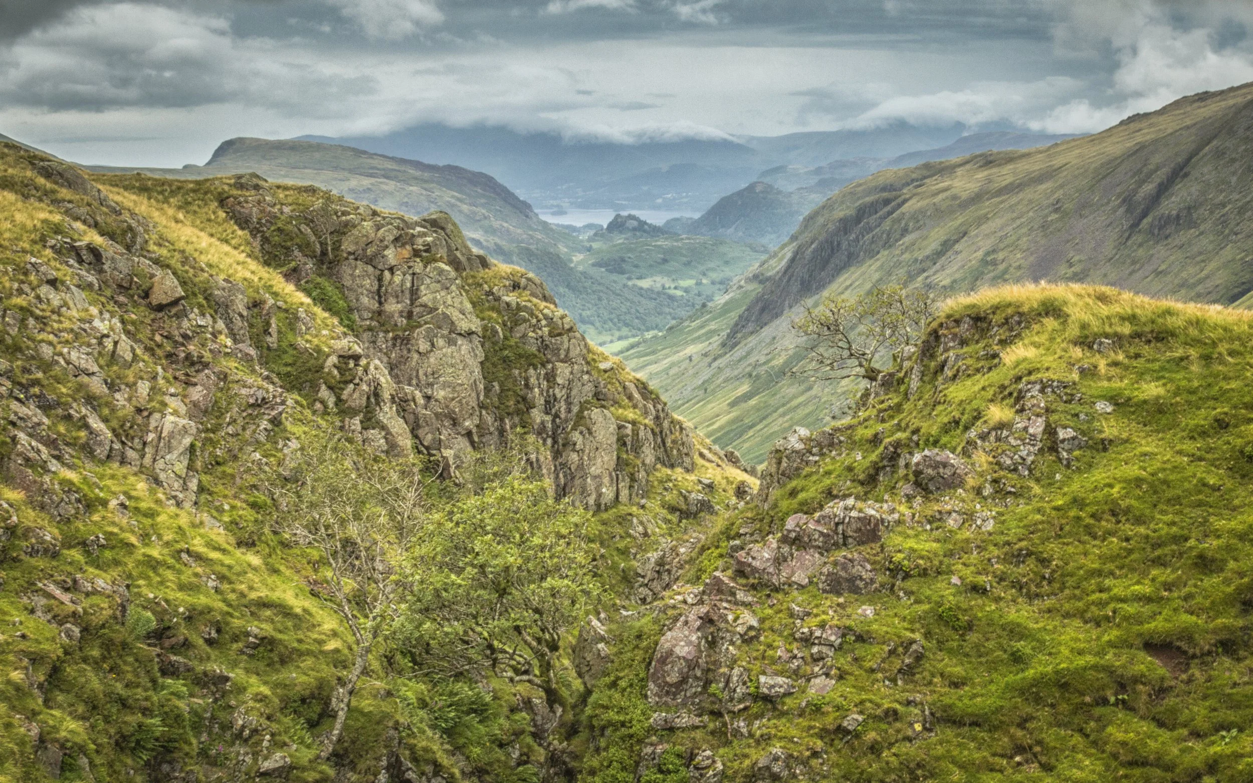 A Long Way Down_.jpg