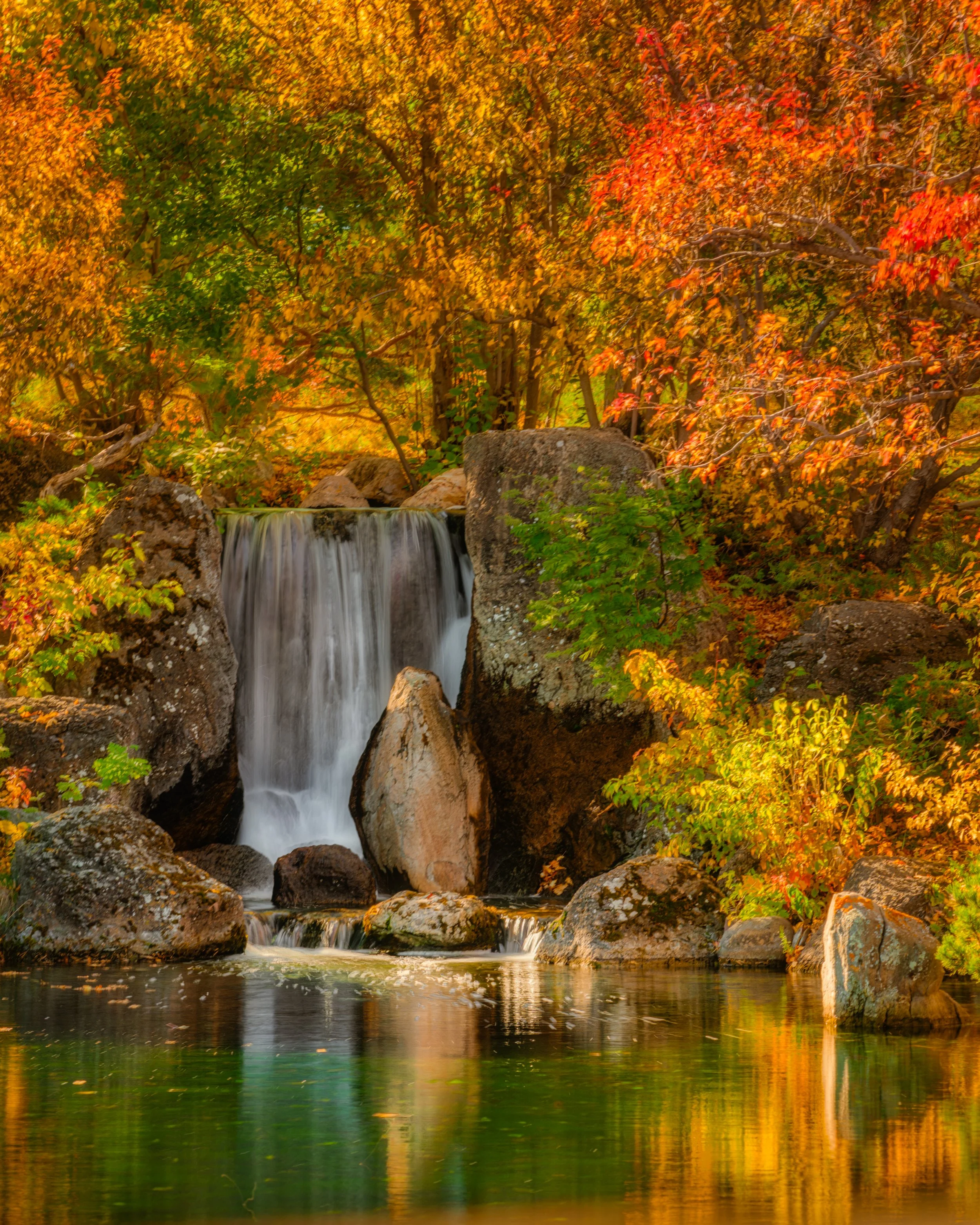 Fall Japanese Gardens .jpg