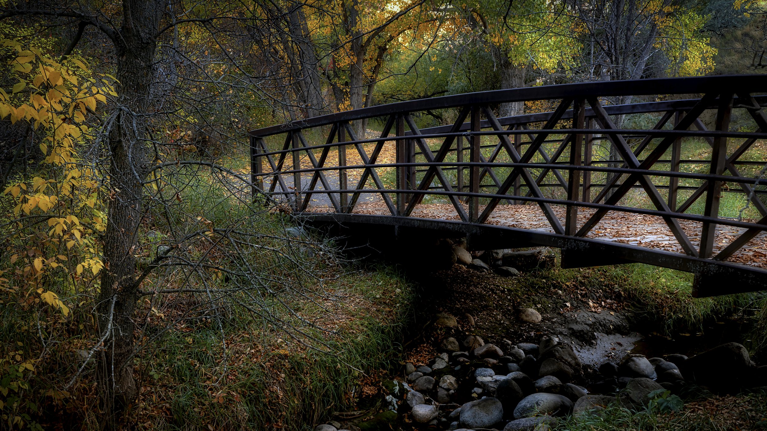 Bridge  Complete  16 x 9 2020 .jpg