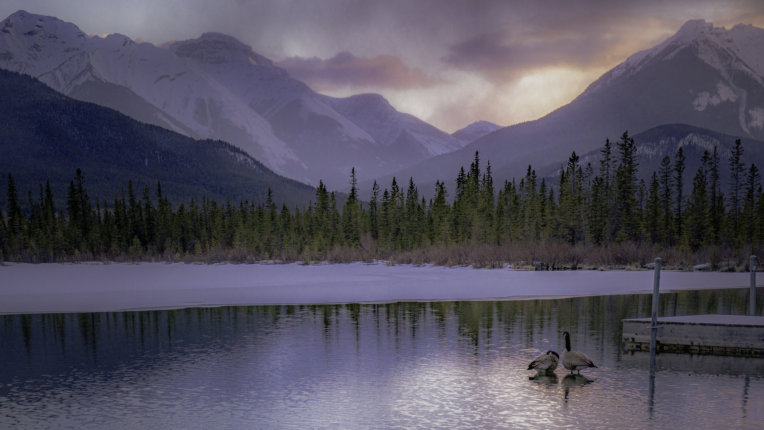 A serene winter scene of a partially frozen lake with two Canada geese swimming near a dock, surrounded by snow-covered trees, with tall mountains in the background under a cloudy pink and purple sky.