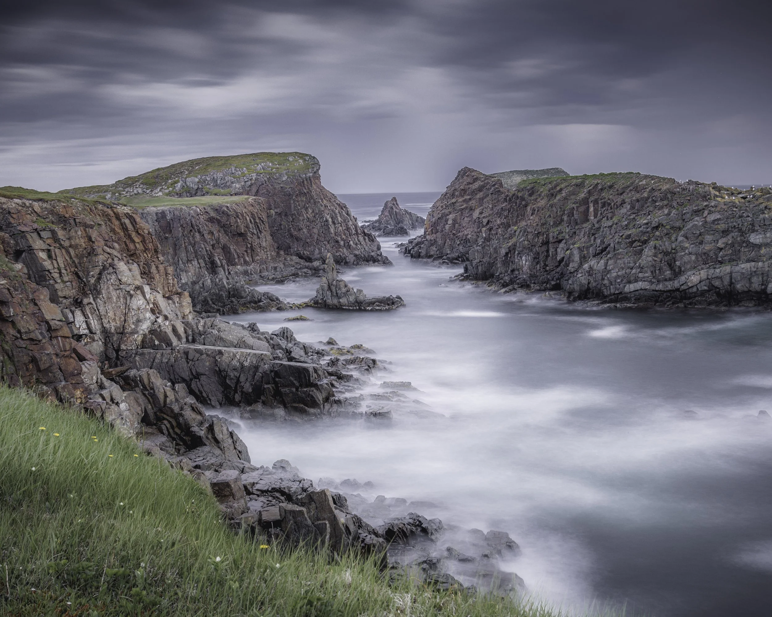 Newfoundland Storm Final 2019 Squarespace copy.jpg