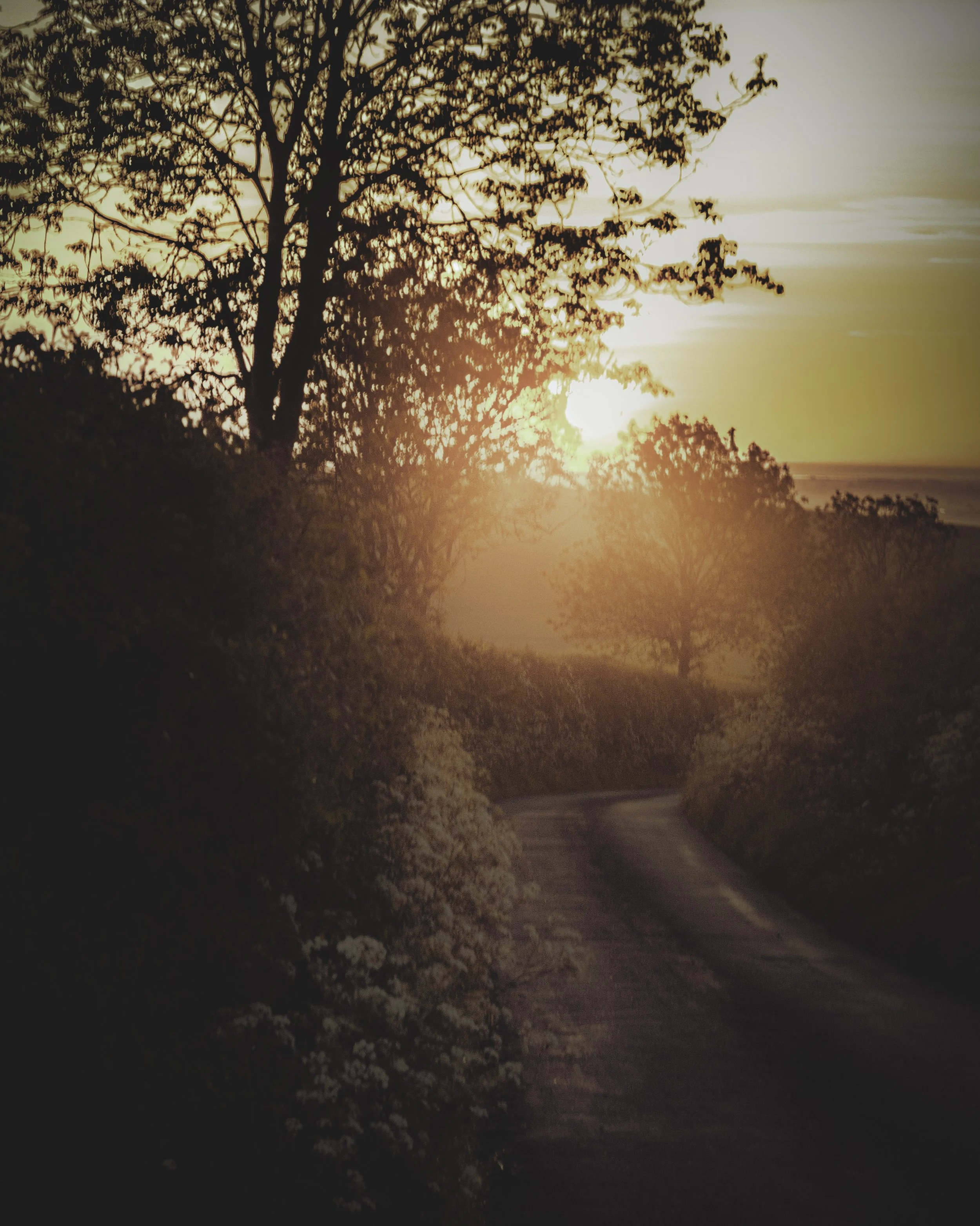 Sunrise_back_country_road_2015.jpg