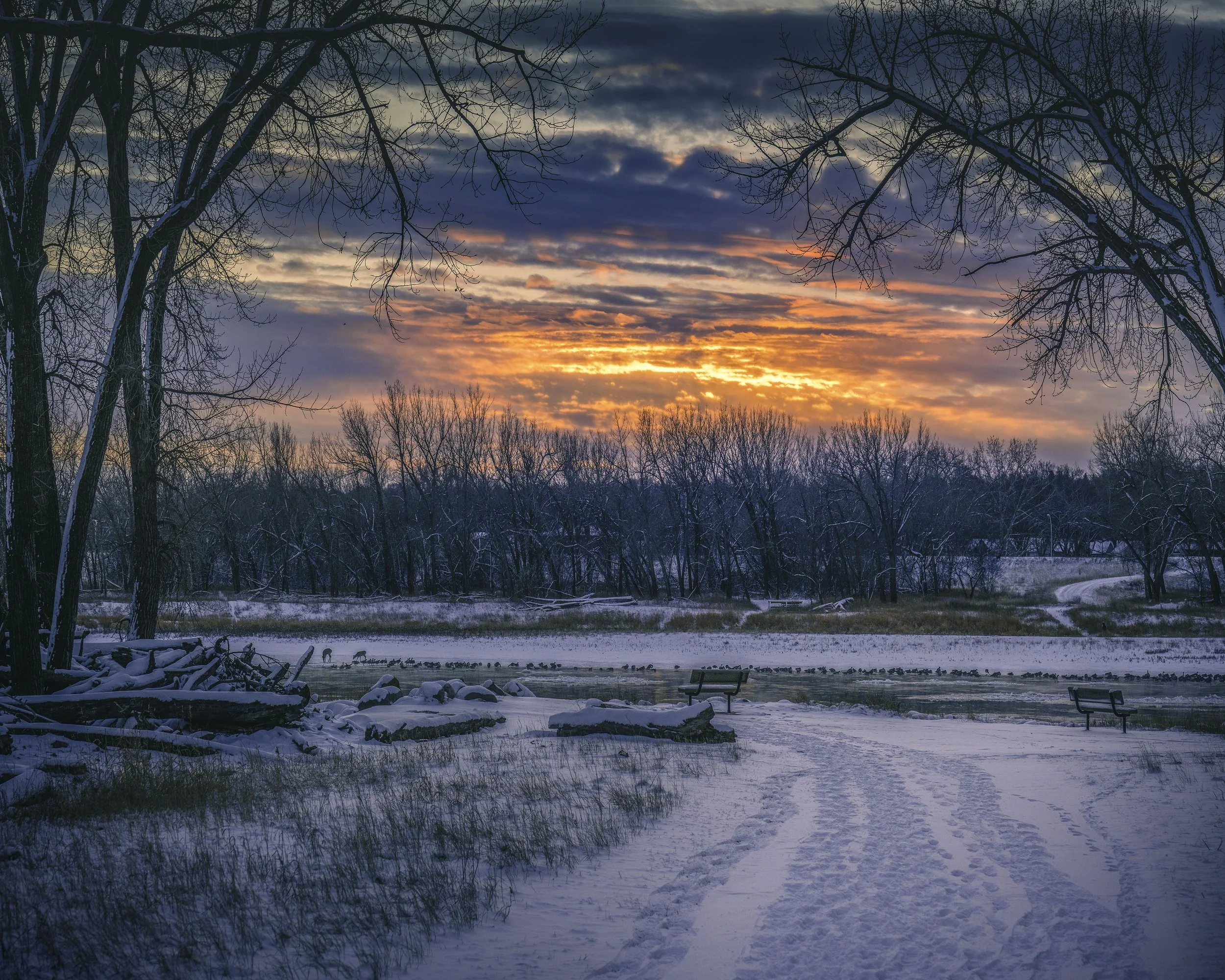 Police Point Park Winter 2021  .jpg