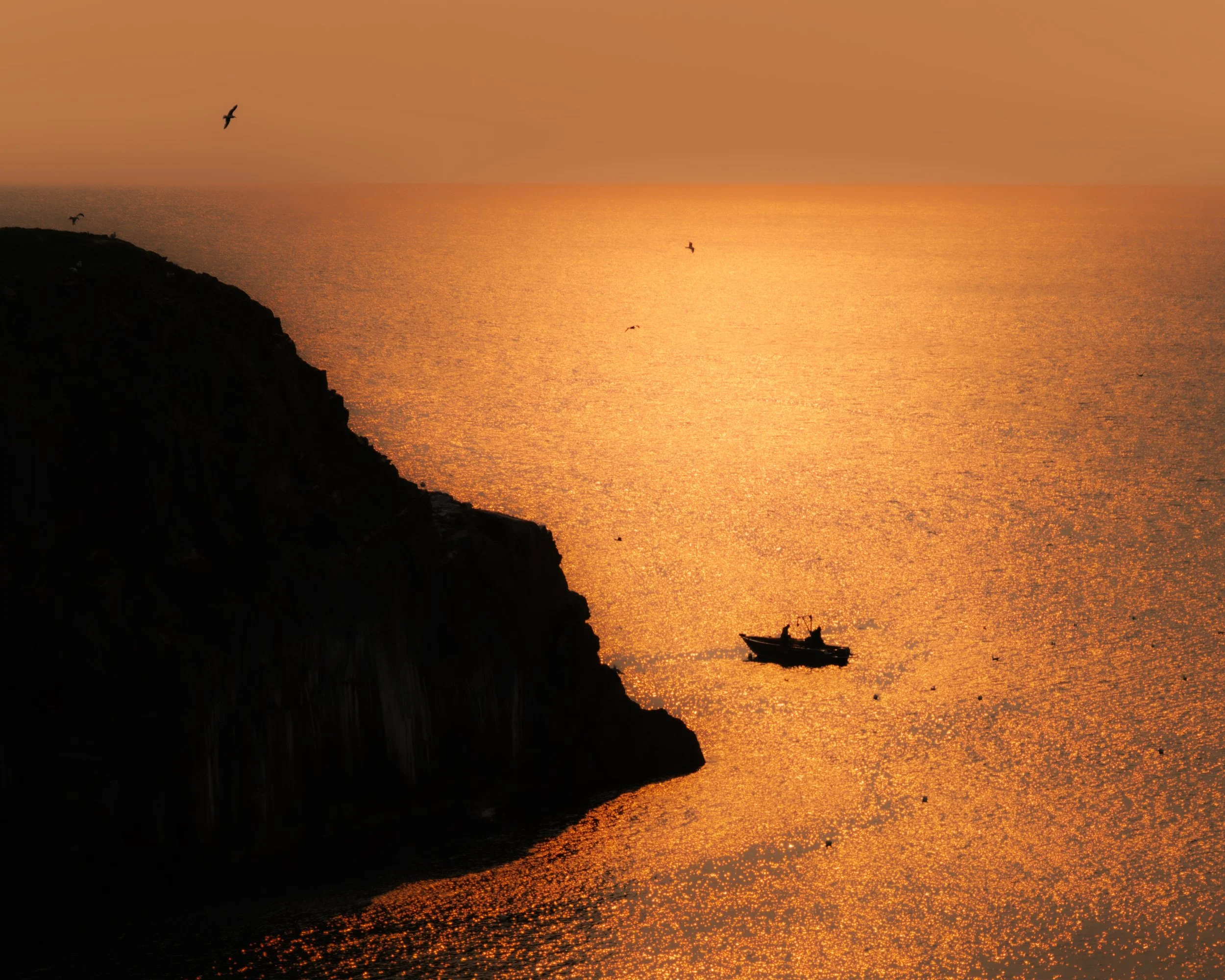 Cath of the Day .jpg