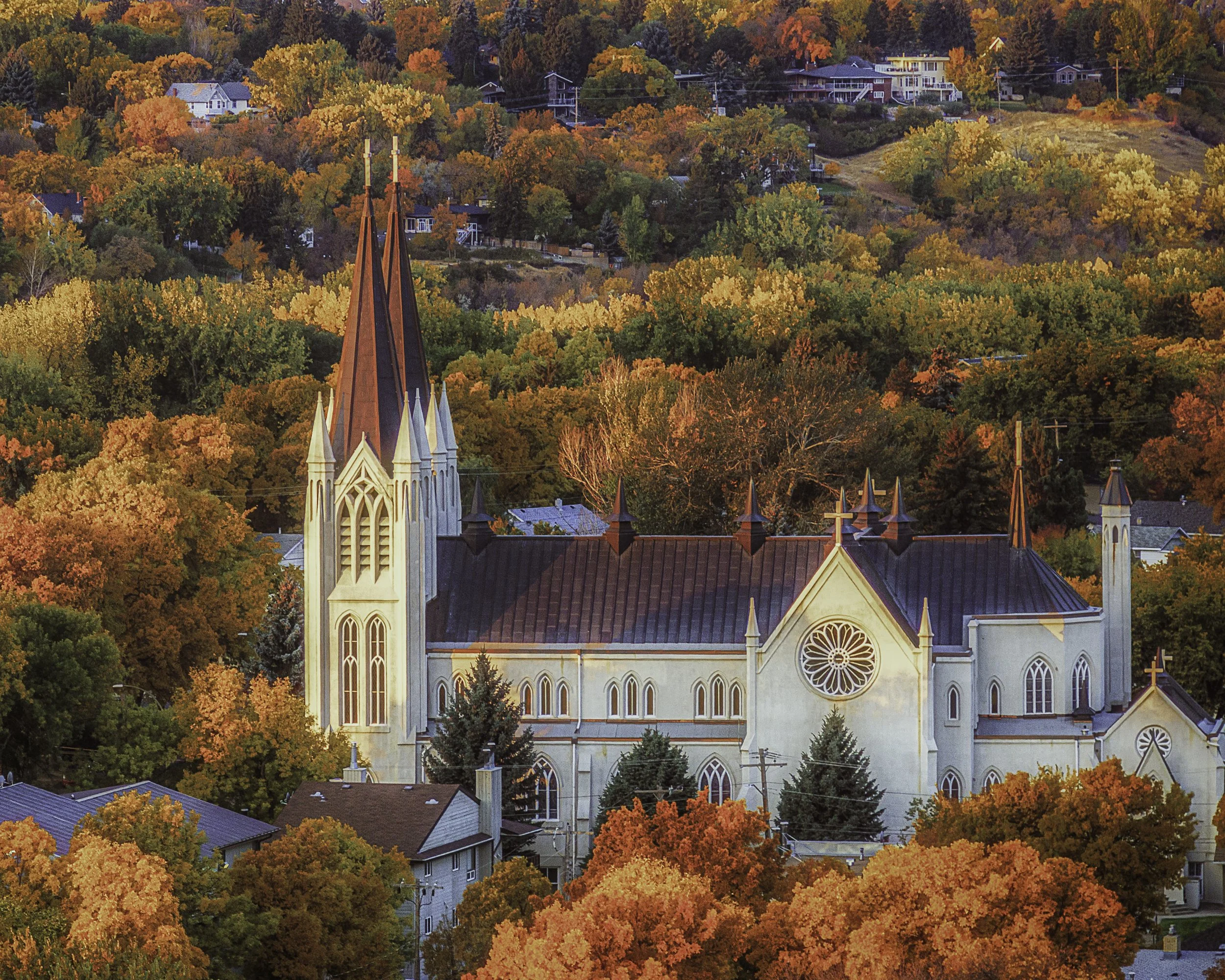 Fall in the Hat 2017.jpg