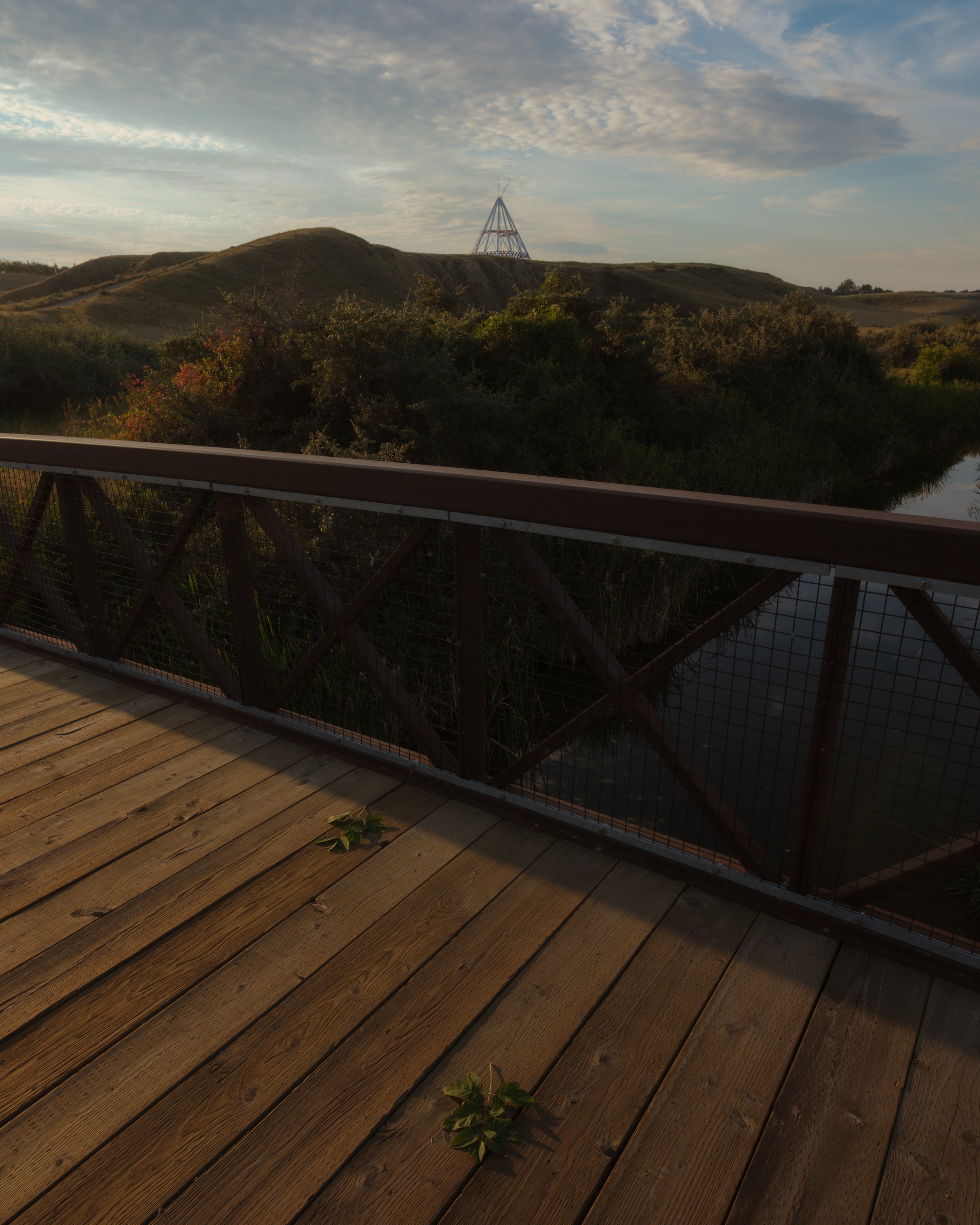 Medicine Hat - Bridge - 4 x 5 Leafs .jpg