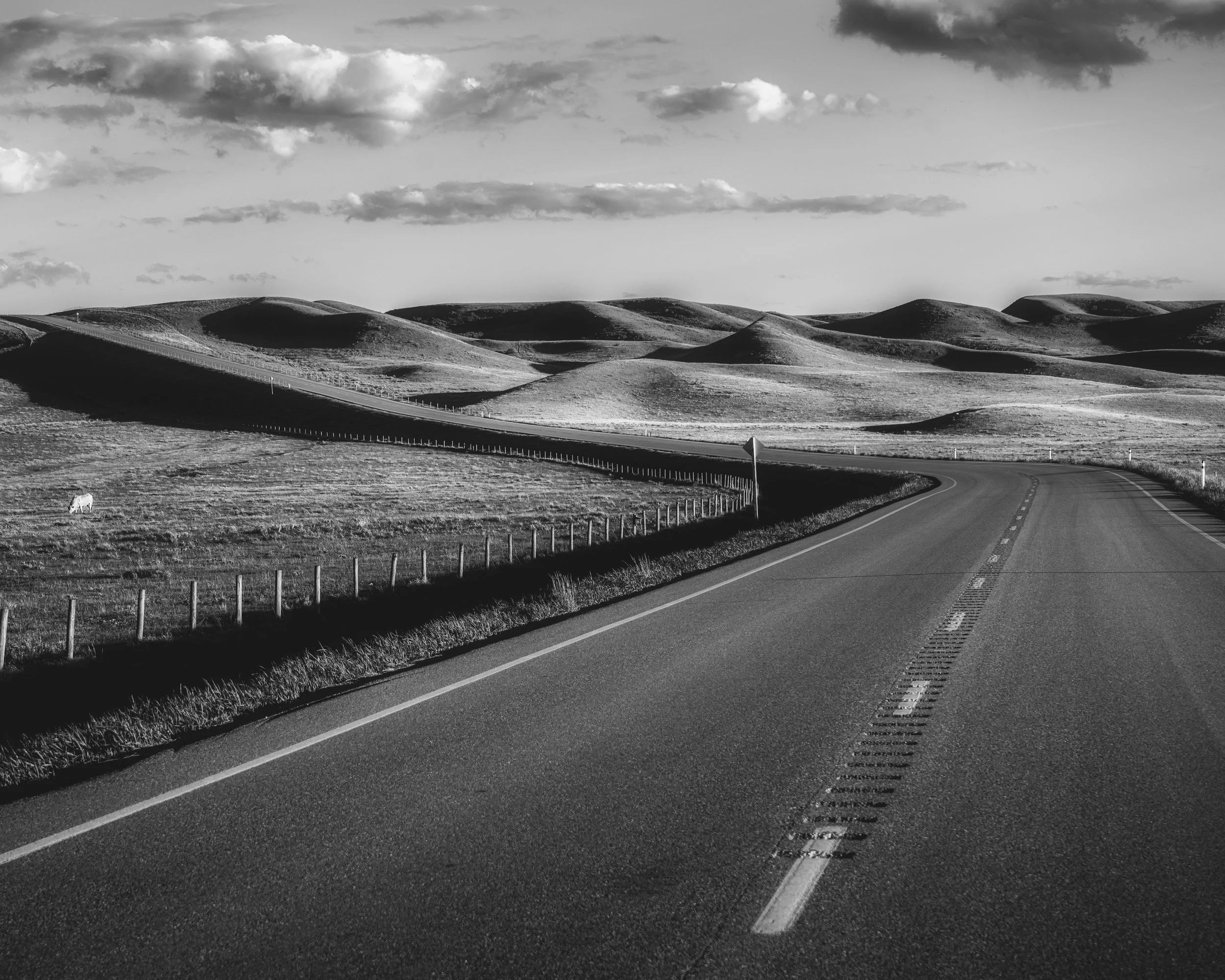 The Road to Red Rock 2021 BW .jpg