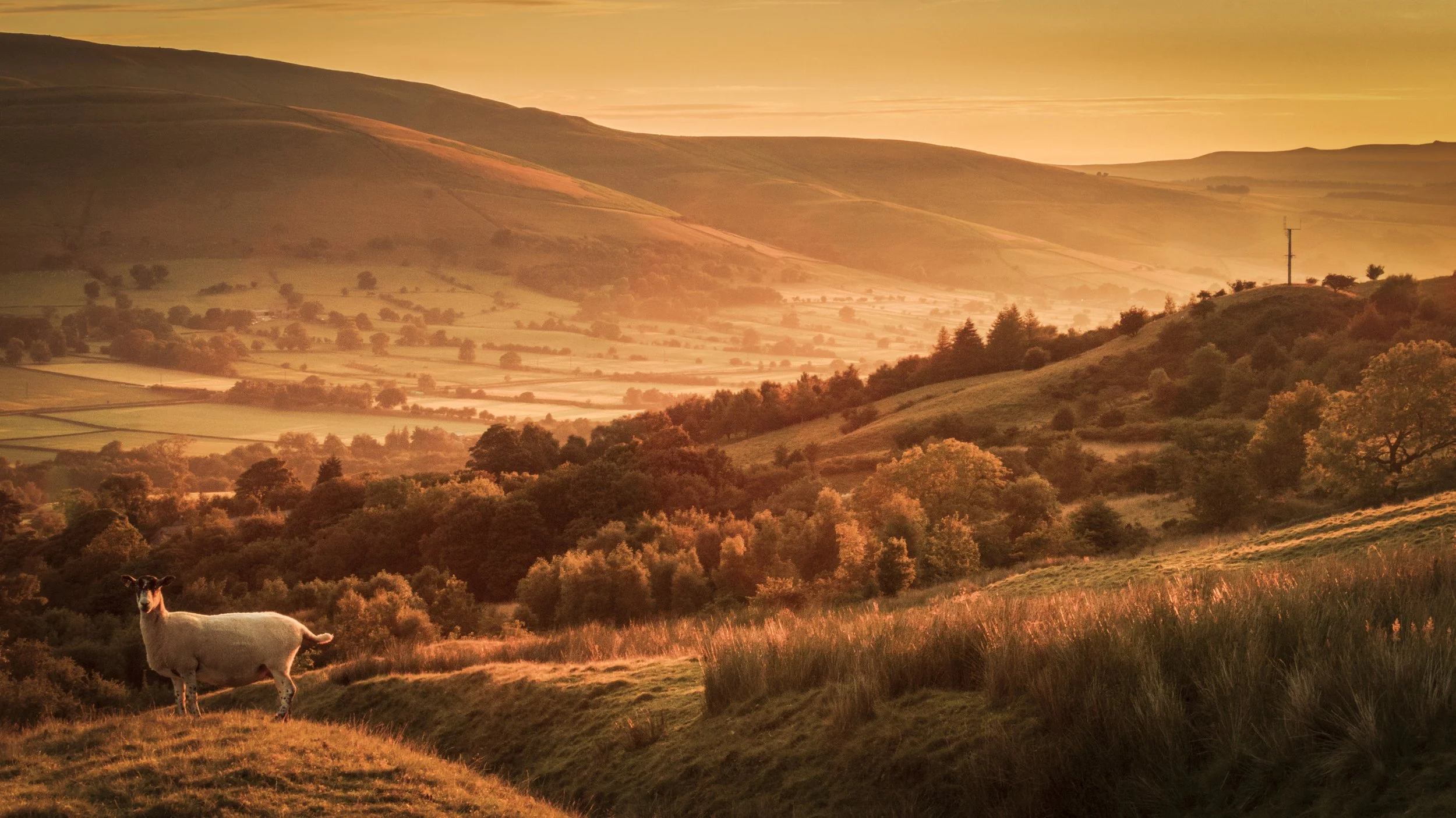 Peak District Dawn.jpg