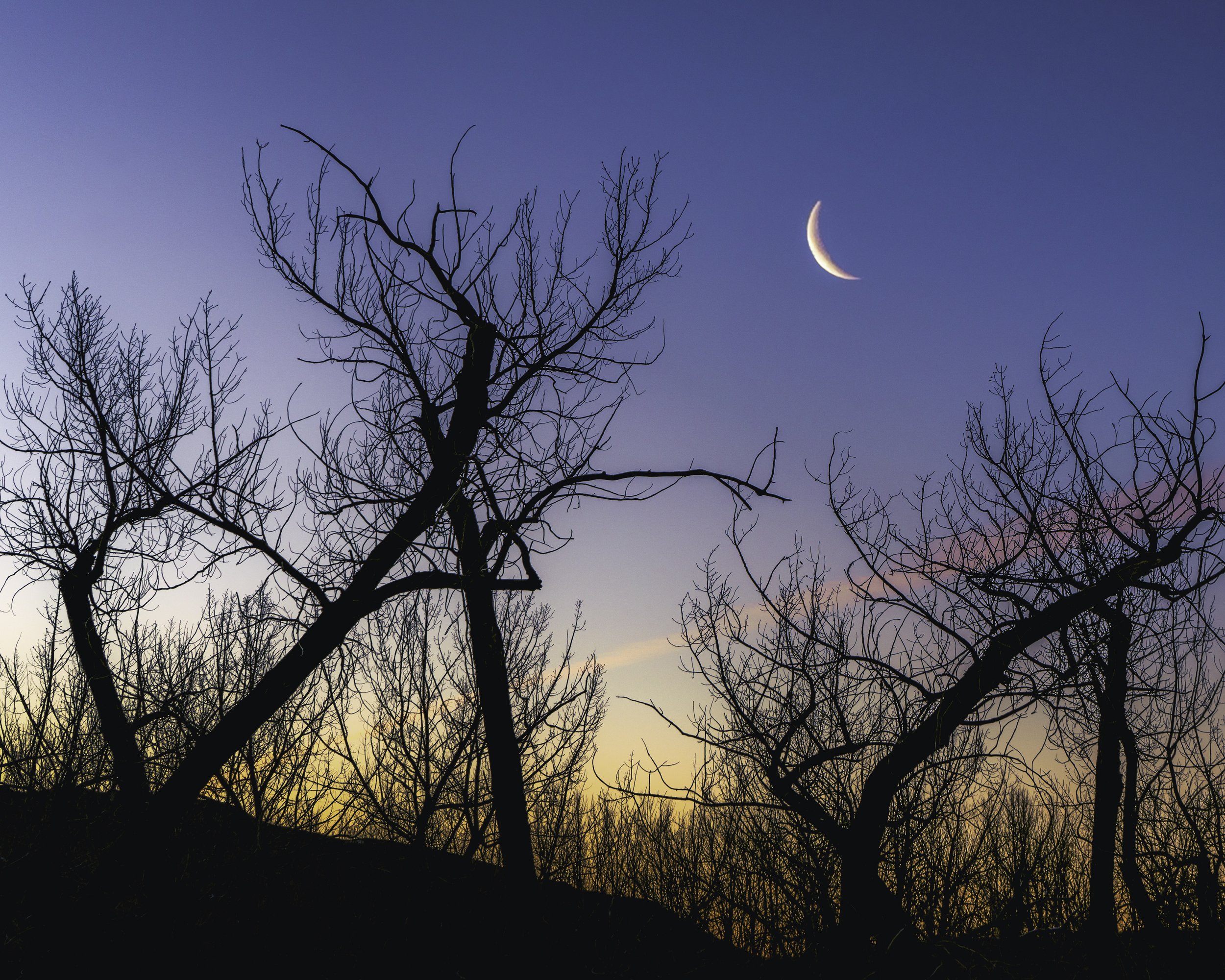 Quarter Moon Police Point Park 2020.jpg