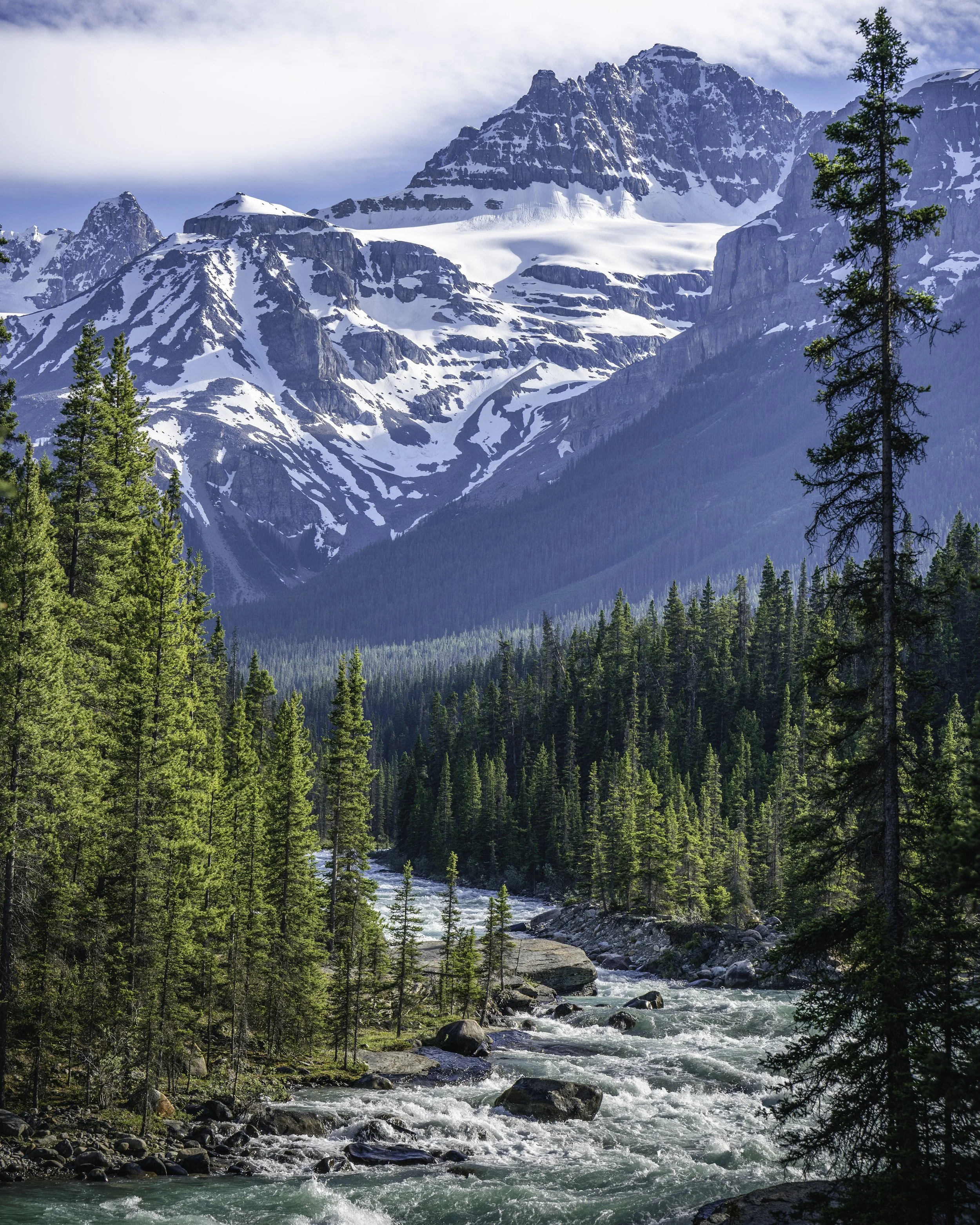 Snow-capped mountains view with green pine forest and a flowing river in the foreground