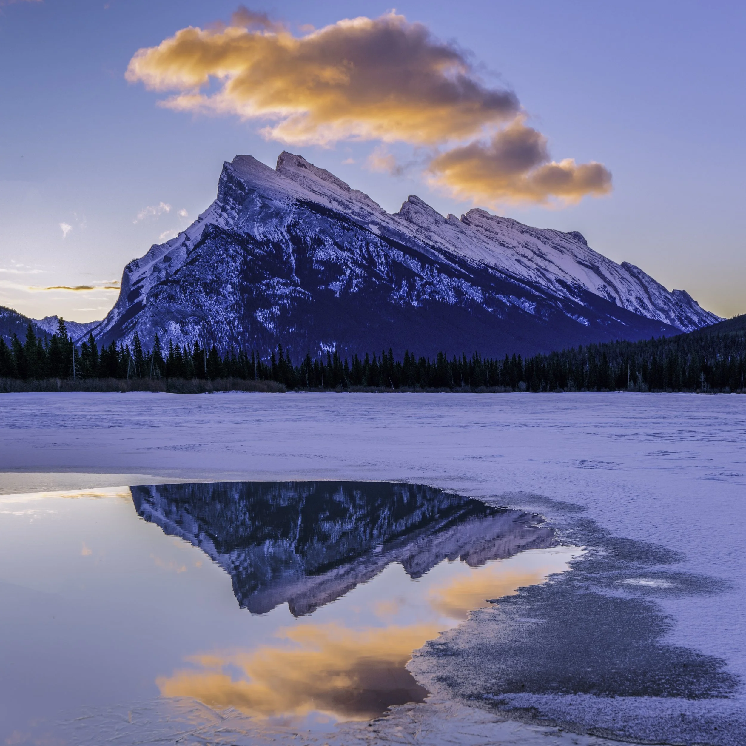 Mount Rundle from Vermilion Lakes Sunrise March 2020 Square -.jpg