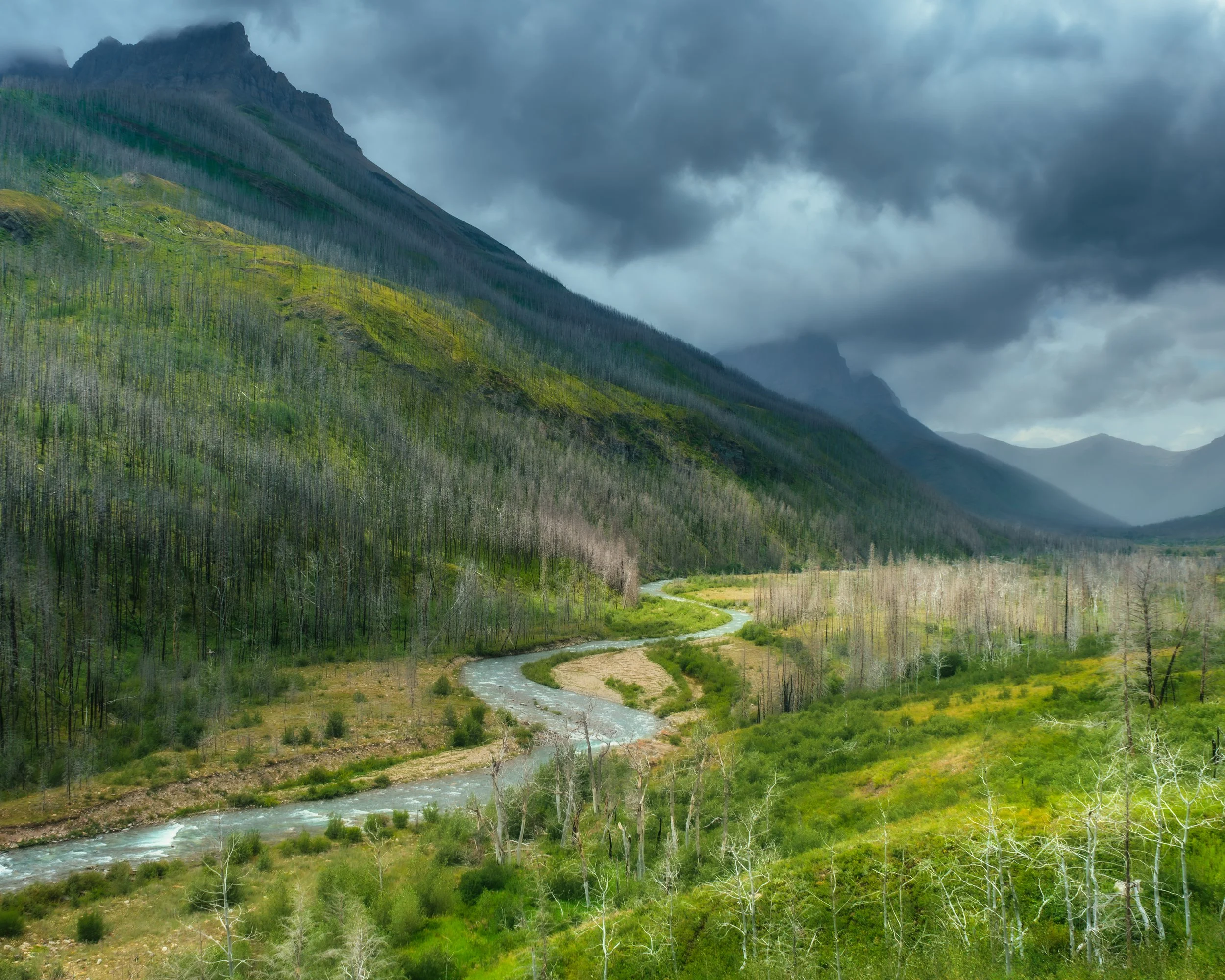 Waterton Landscape 1 .jpg