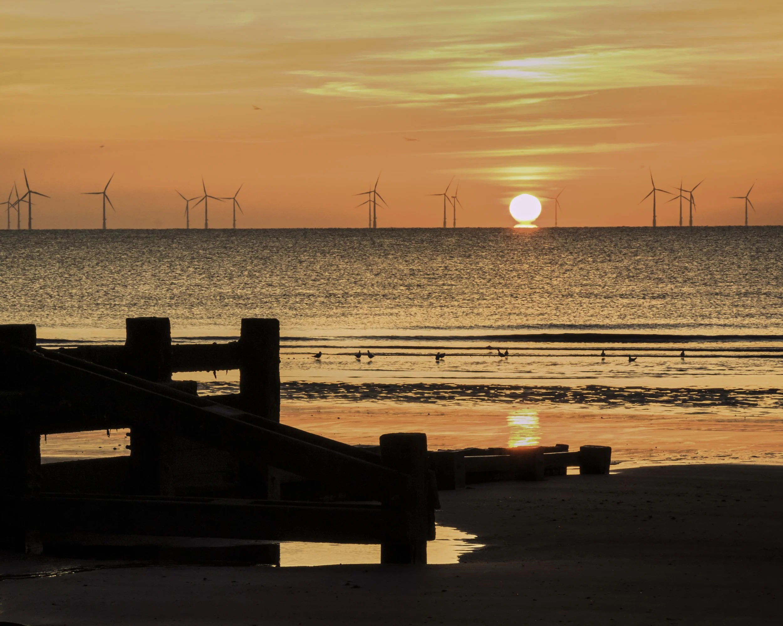 Sun on the Ocean 2016.jpg