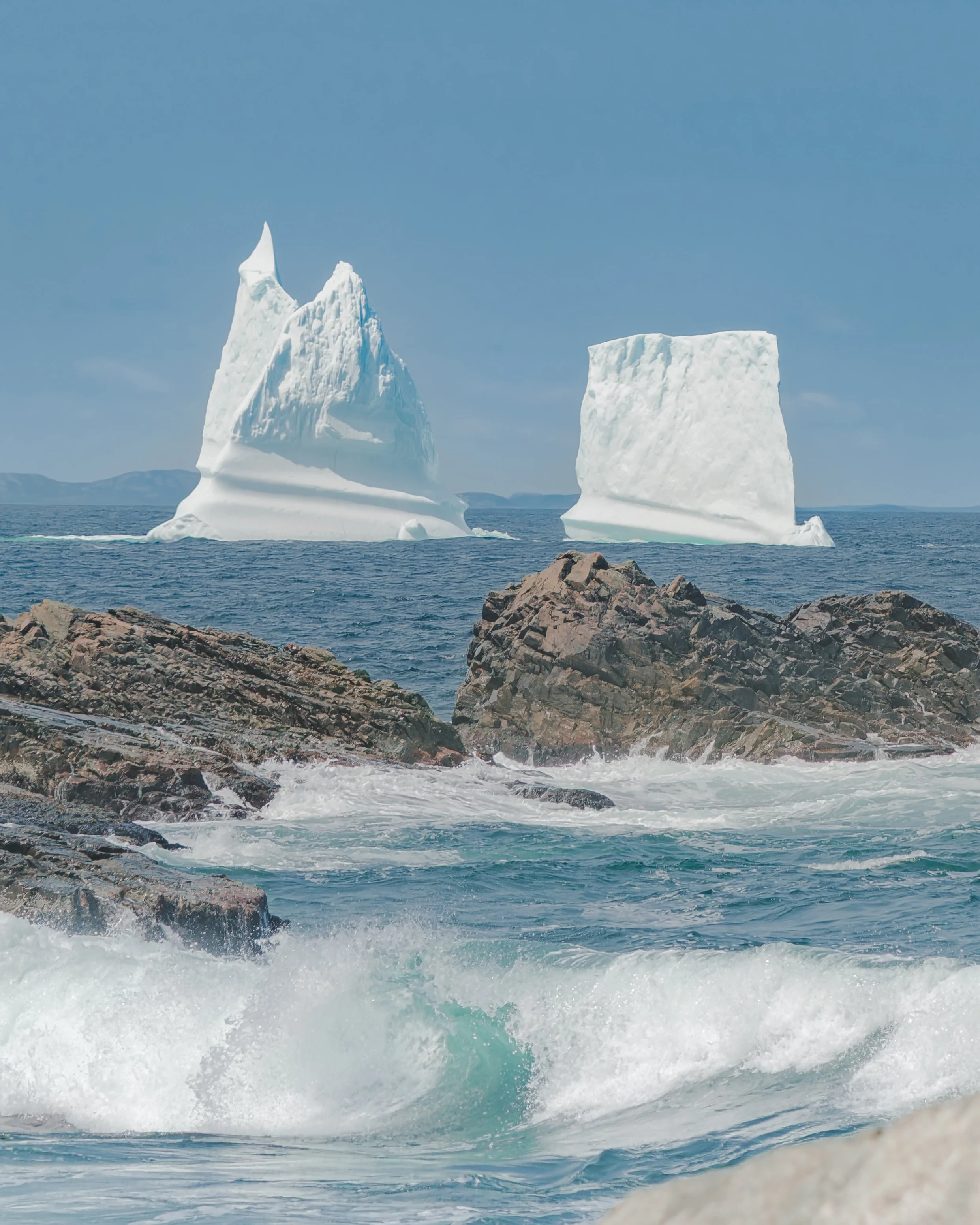 Iceburgs_in_Bonavista_.jpg