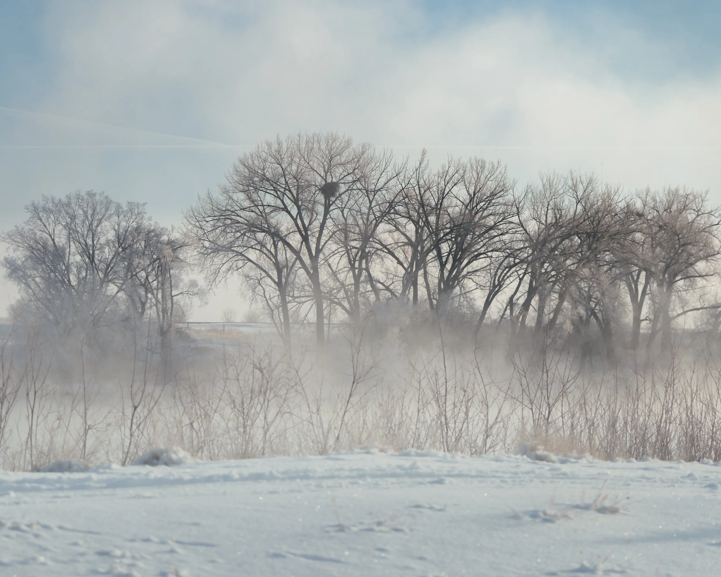 MIsty Morning Police Point 1 .jpg