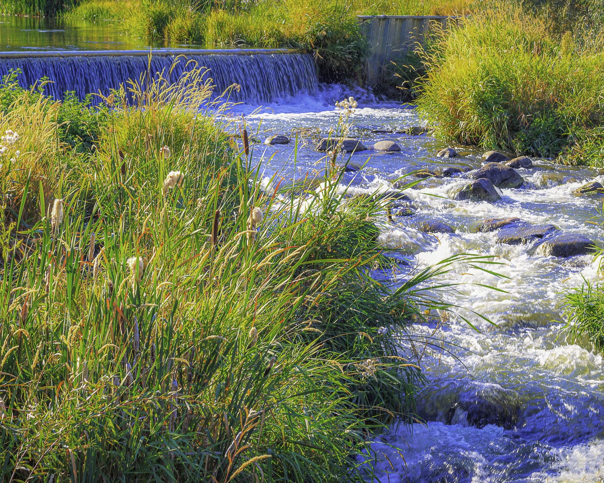 A rivers through it 2018 .jpg