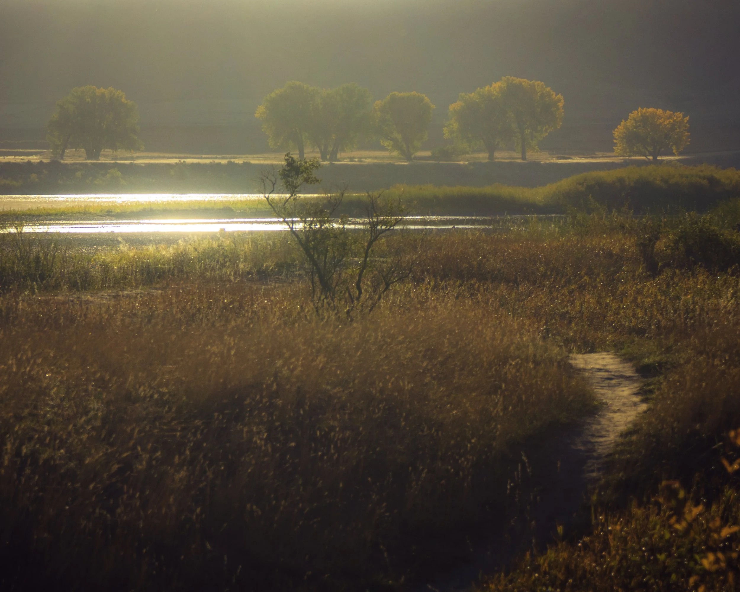Amazing Light as Police Point Park 2019 Fall  copy.jpg