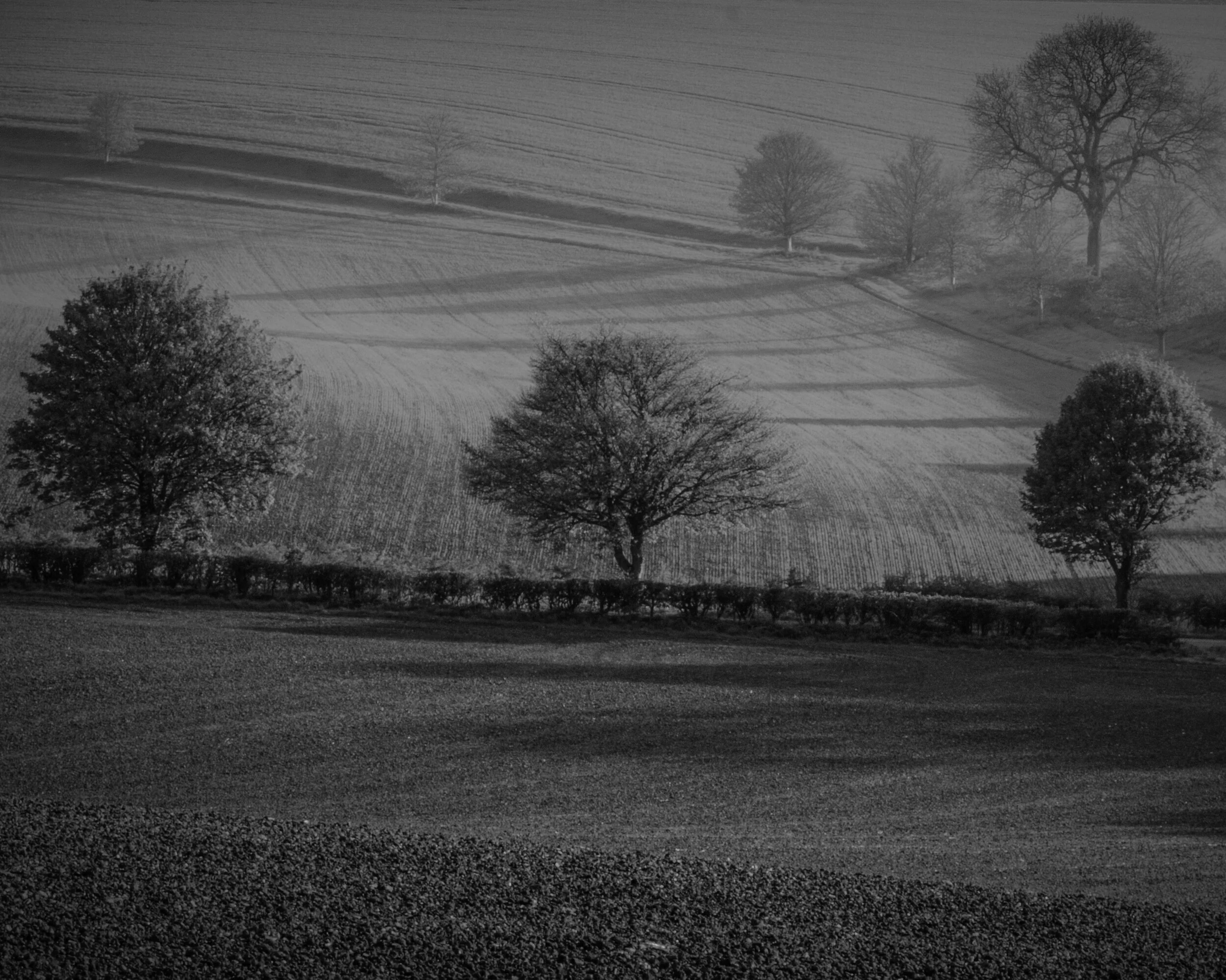 Triple Trees Lincolnshire Wolds 2014.jpg