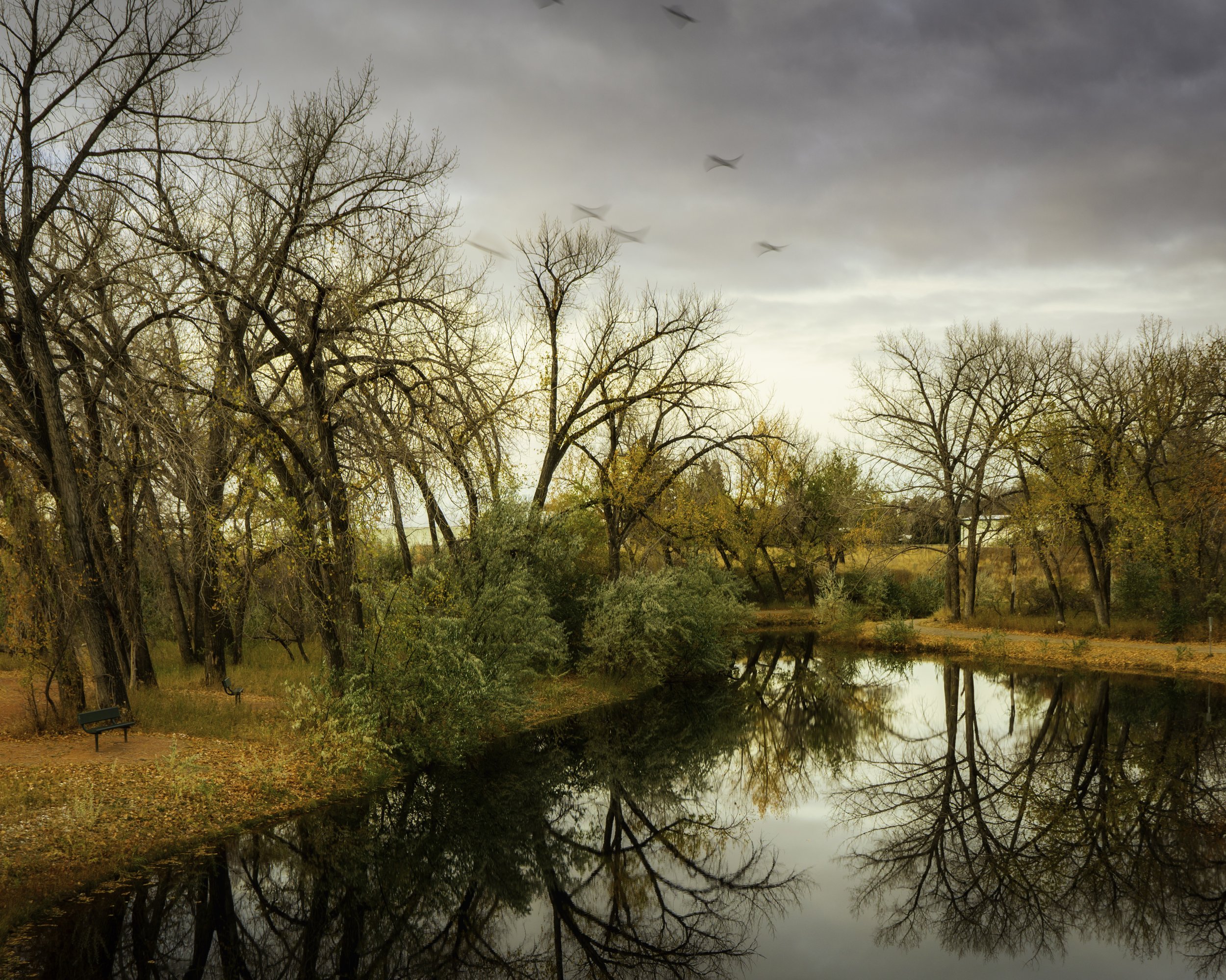 Fall Lake Medicine Hat 2020 .jpg