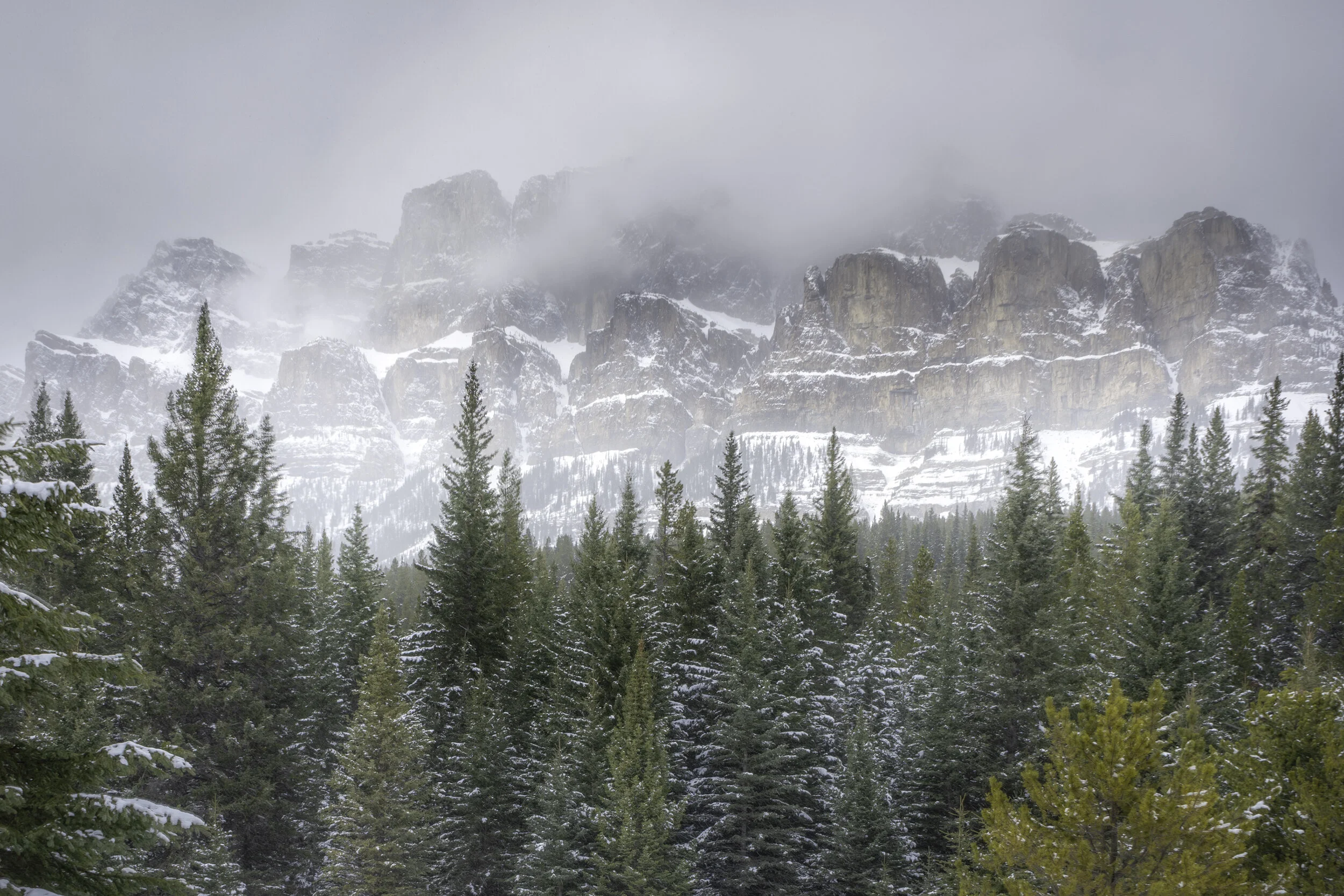 Castle Mounatin in the mist 2021.jpg