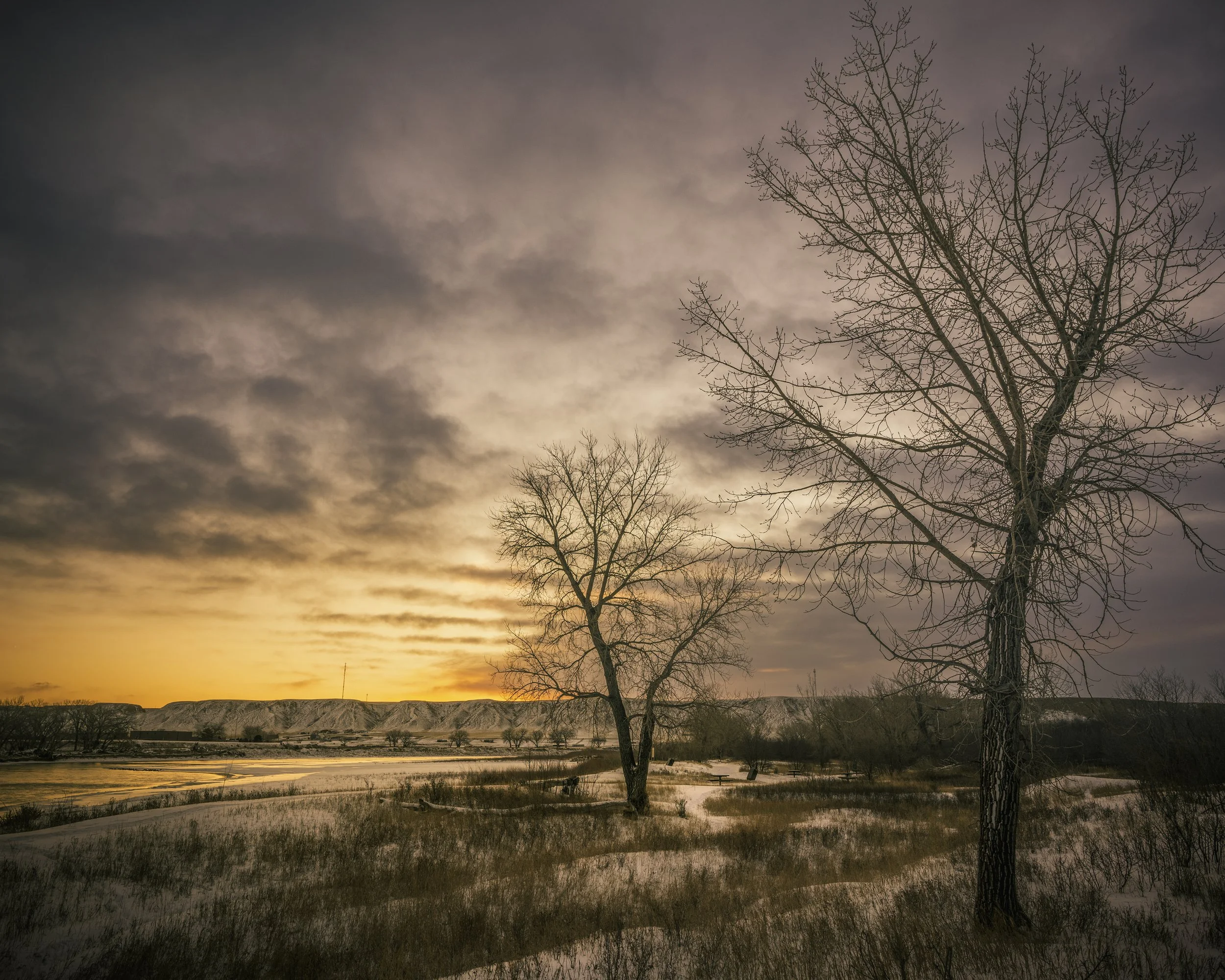 Police Point Park Jan 2021 Winter Sunrise 2 Trees  .jpg
