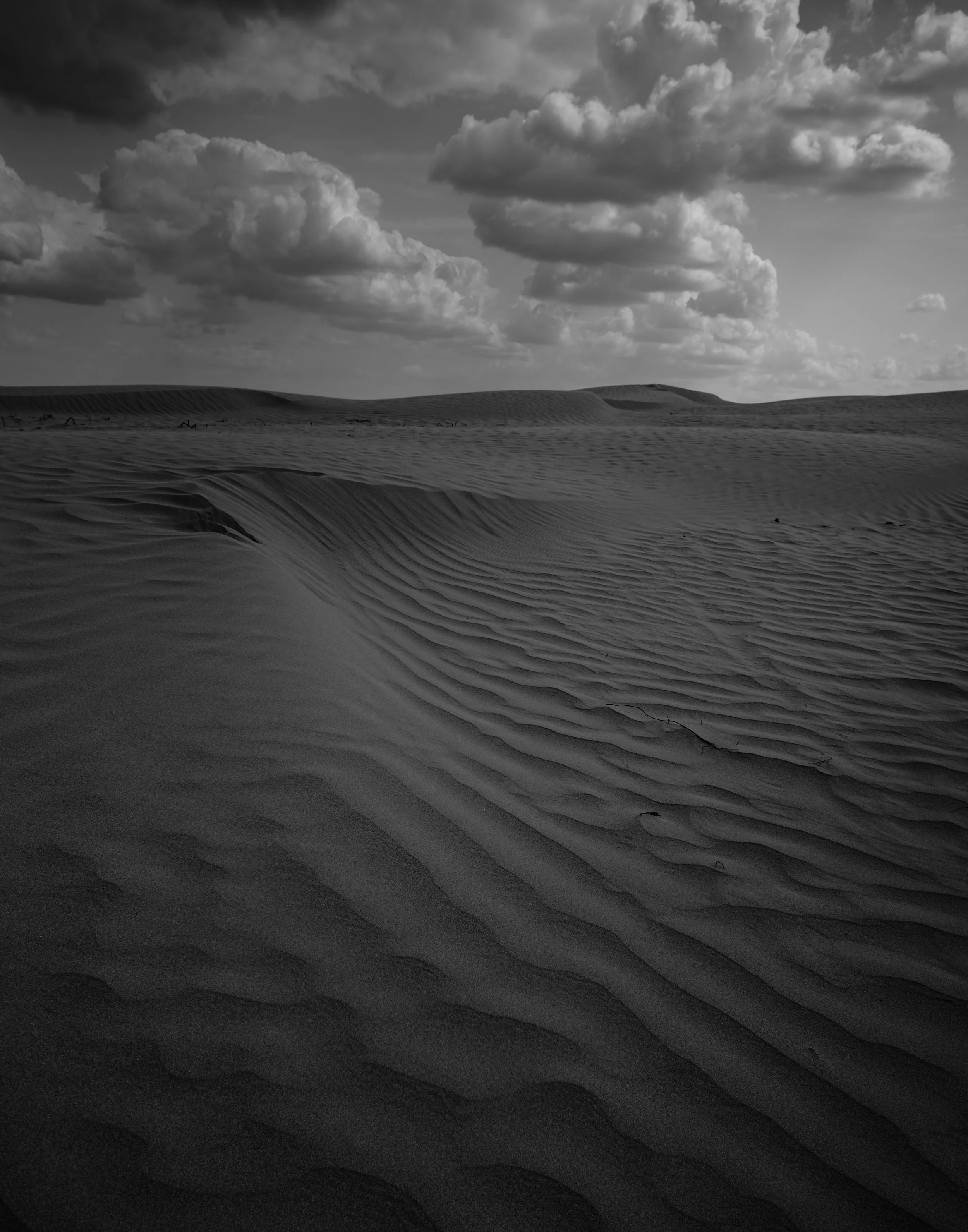 Saskatchewan_Sand_Dunes_Aug_2024_BW_.jpg