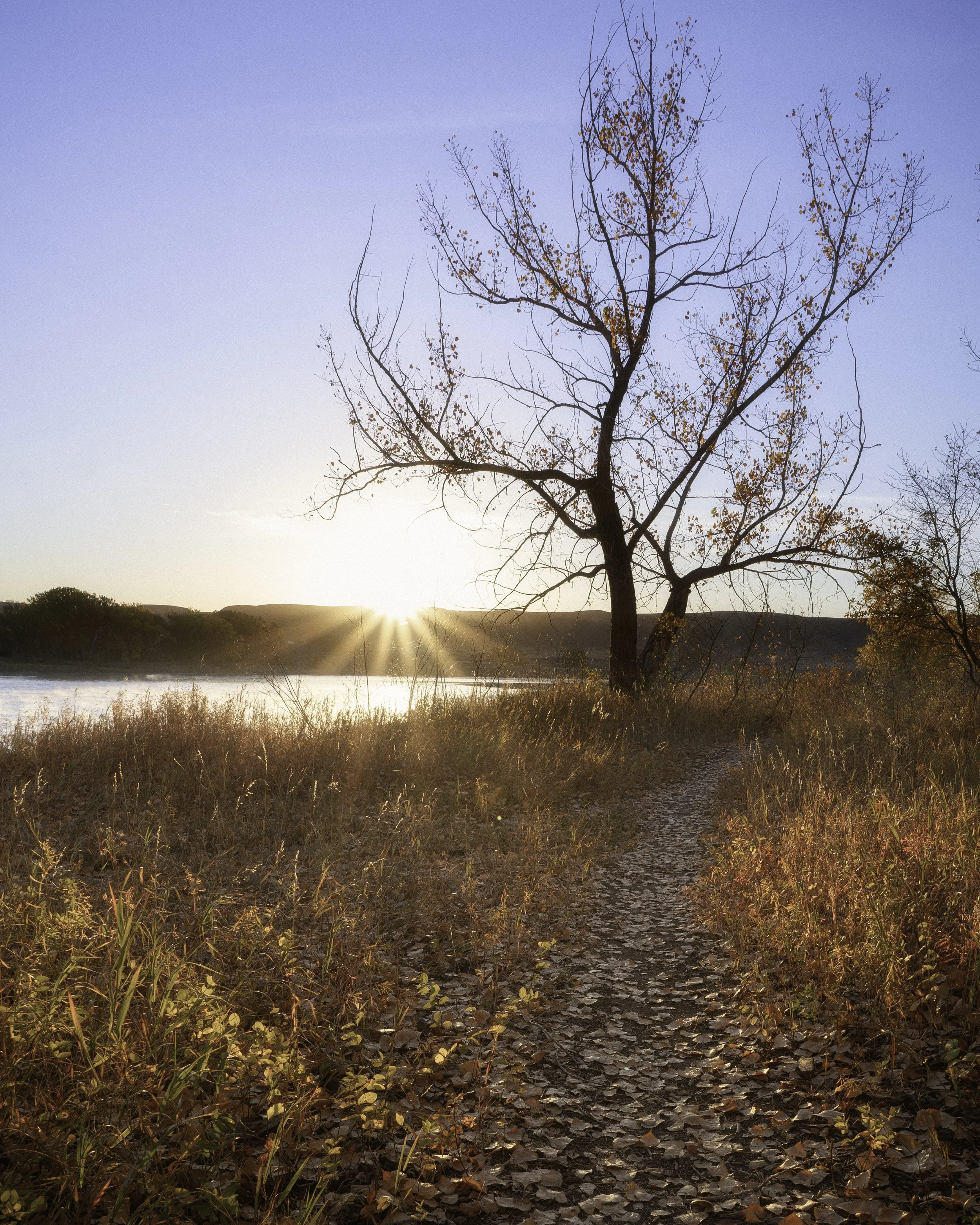 Police Point Park Oct Fall 2021 portrait .jpg
