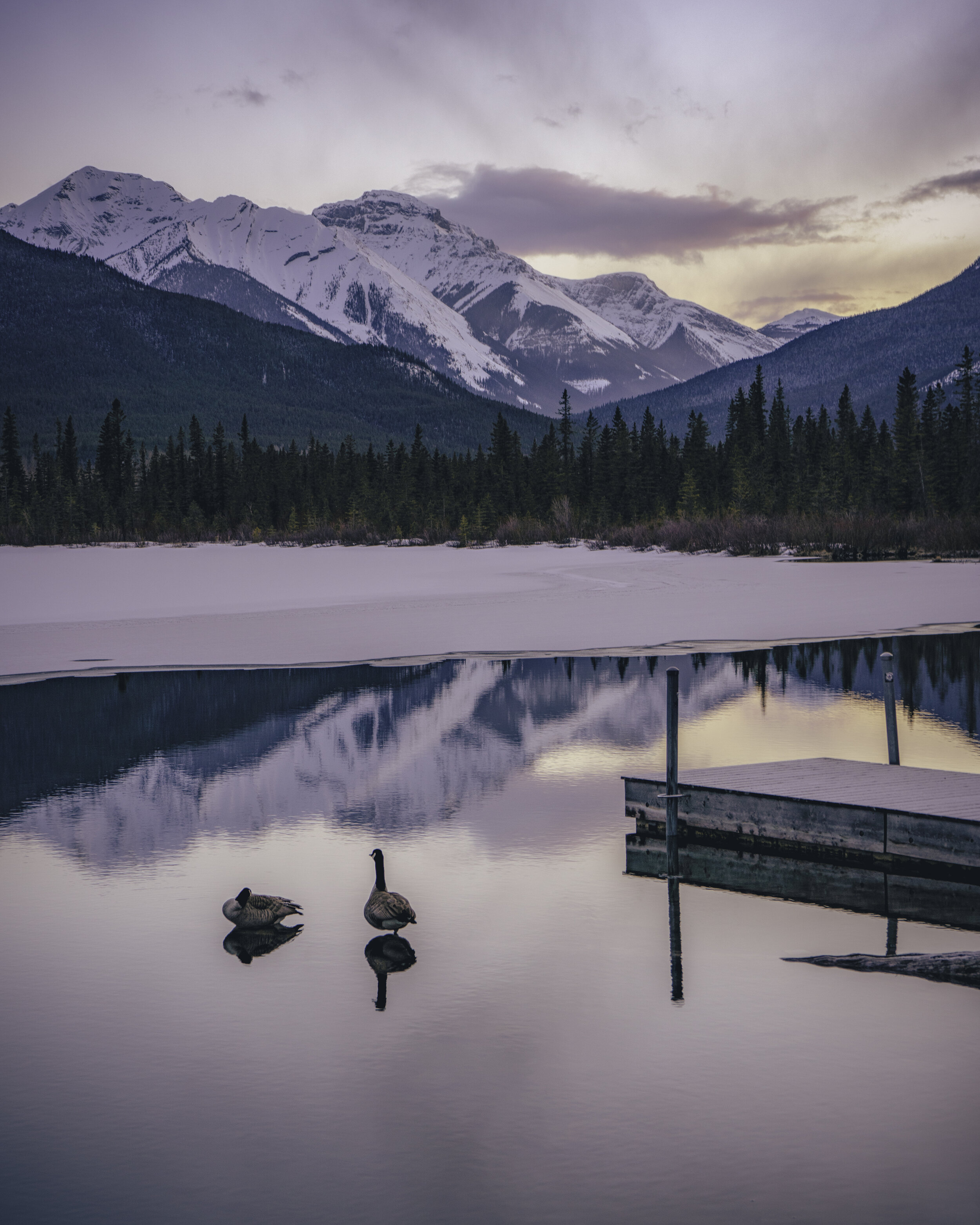Lake Vermilion Geese 10 8 2021.jpg