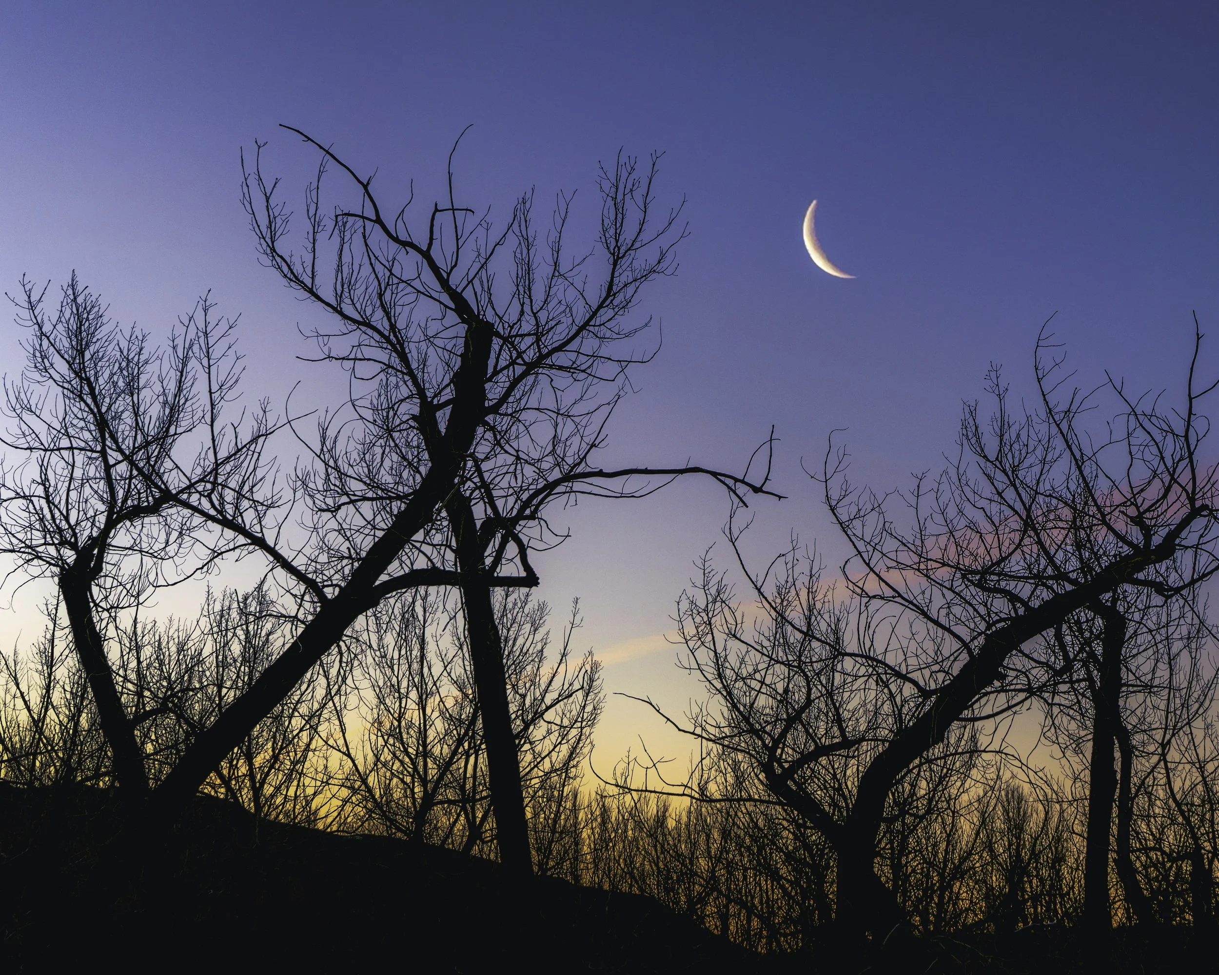 Quarter Moon Police Point Park 2020.jpg