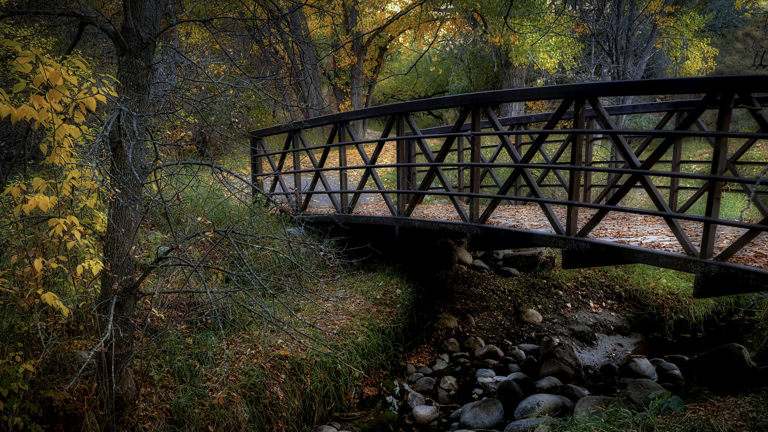 Bridge  Complete  16 x 9 2020 .jpg