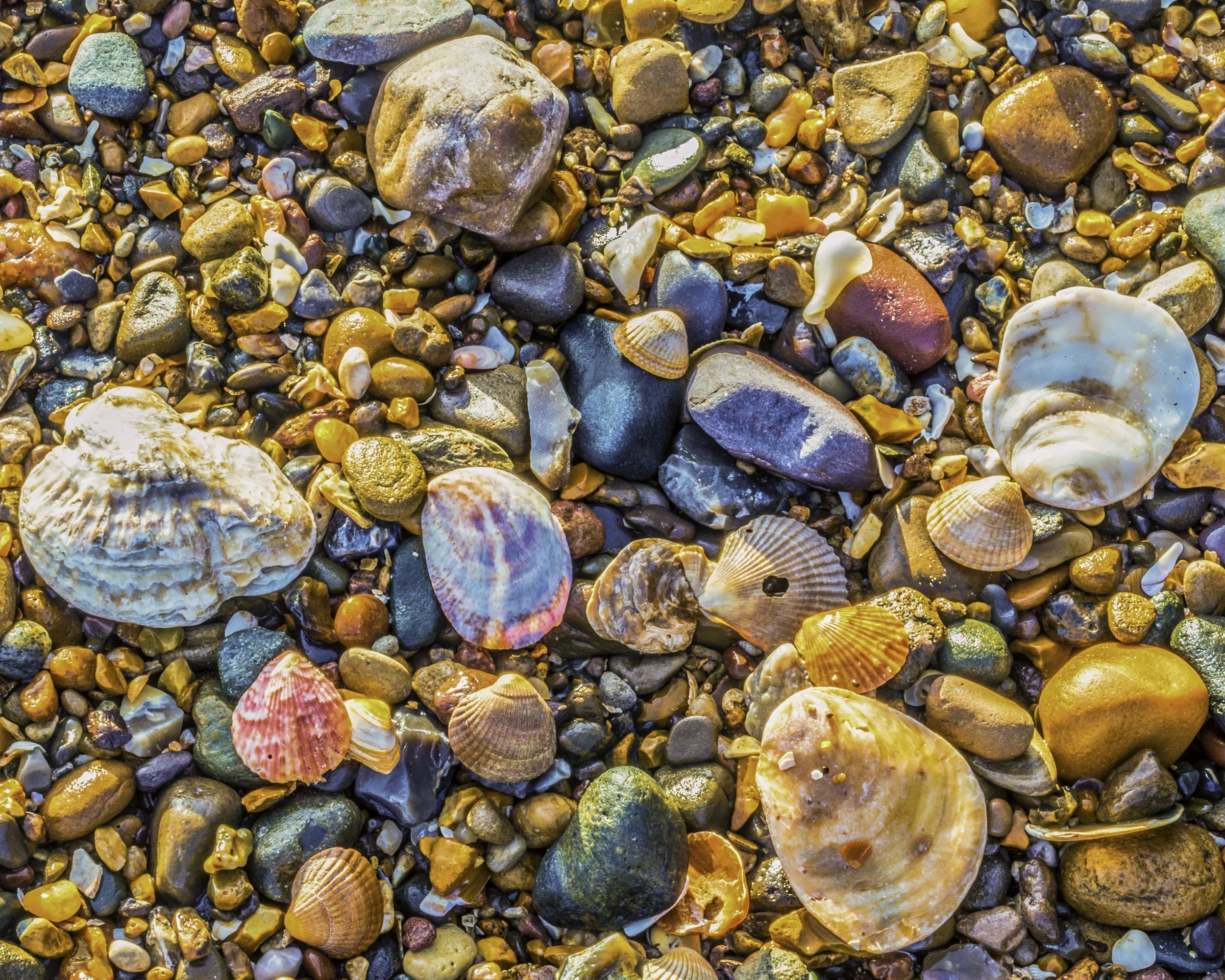 Jewels of the Ocrean 2016.jpg