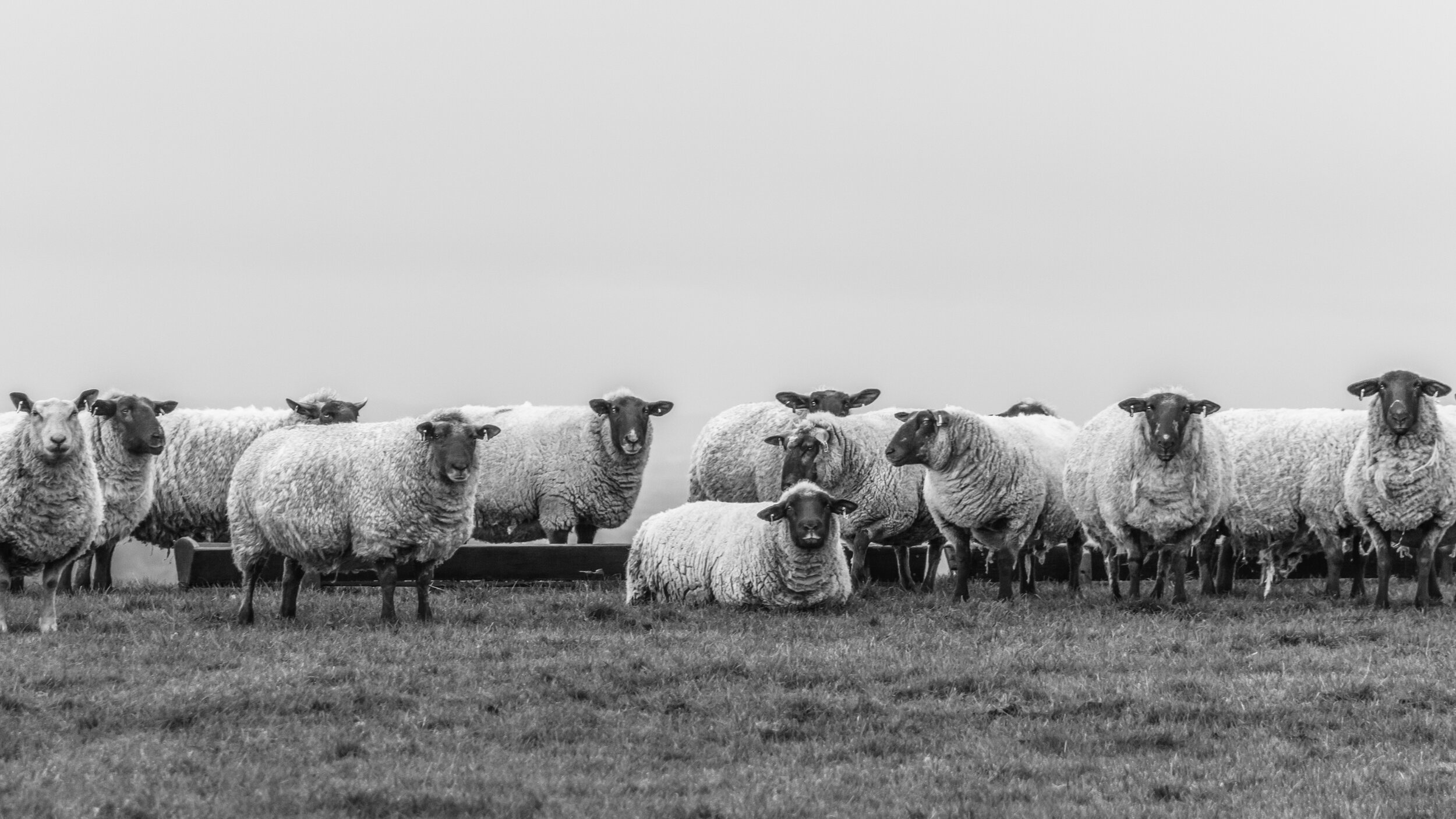 Family Portrait 2014 .jpg