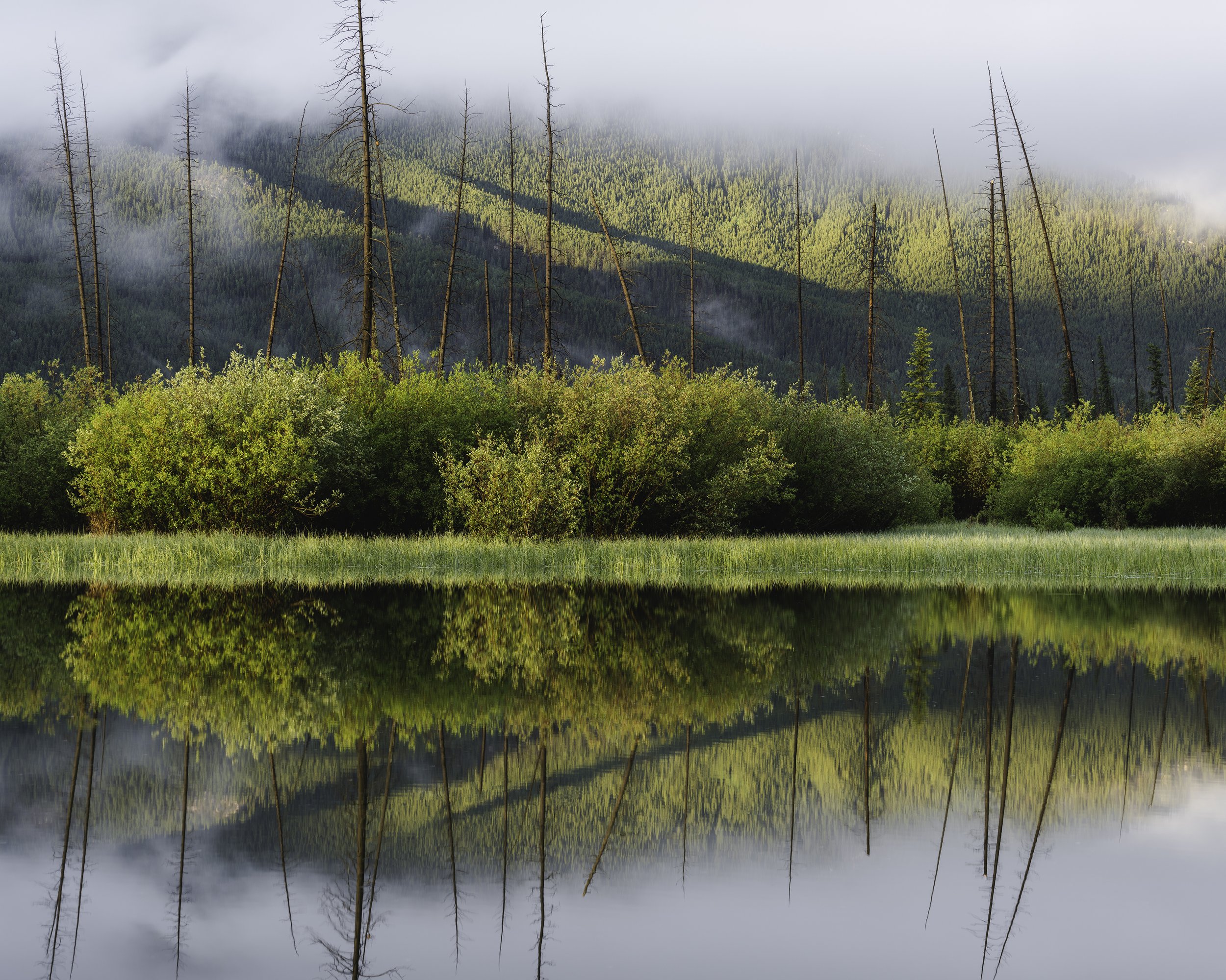 A Gift from Vermilion June 2021 copy.jpg