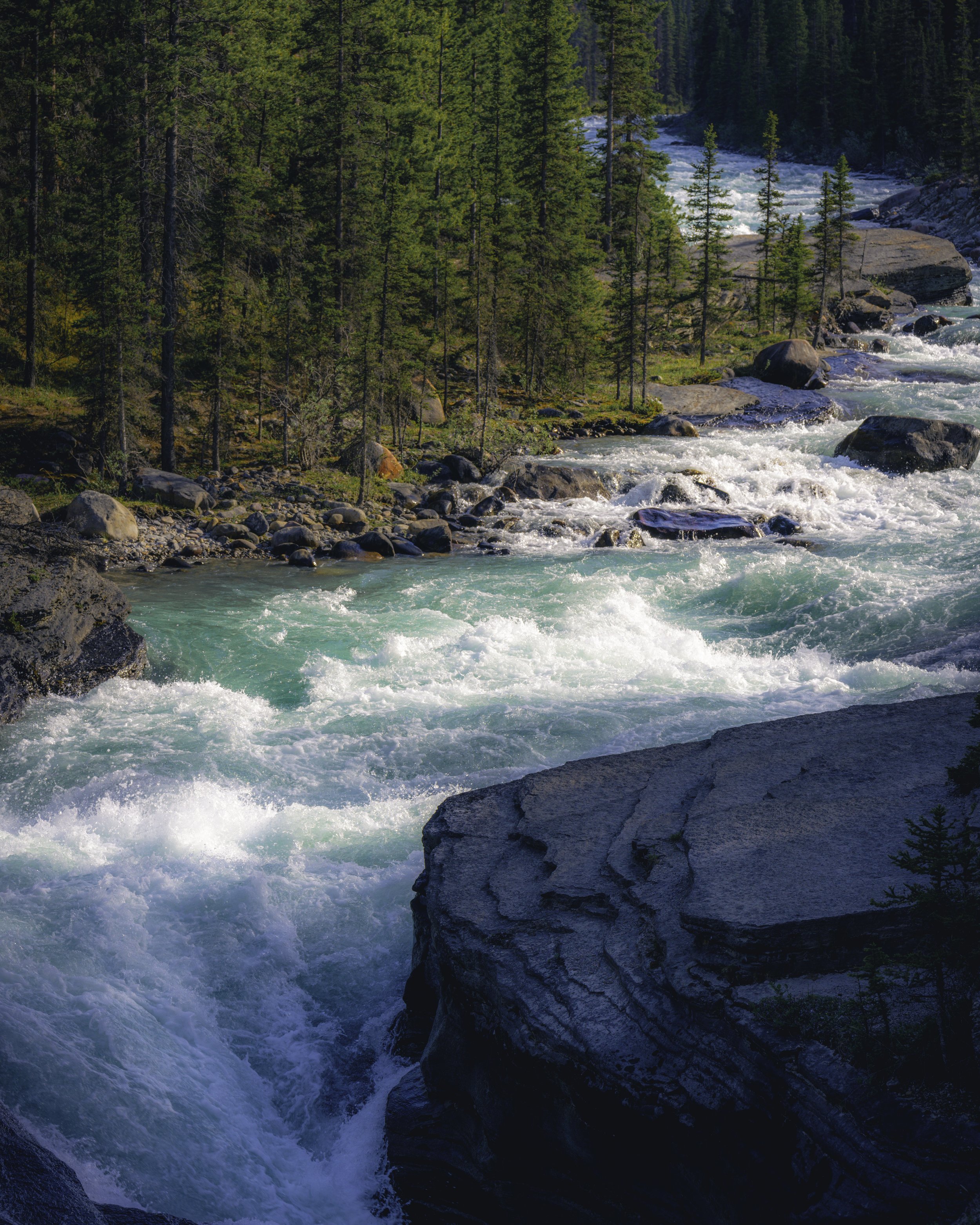 The Waters of Mistaya.jpg