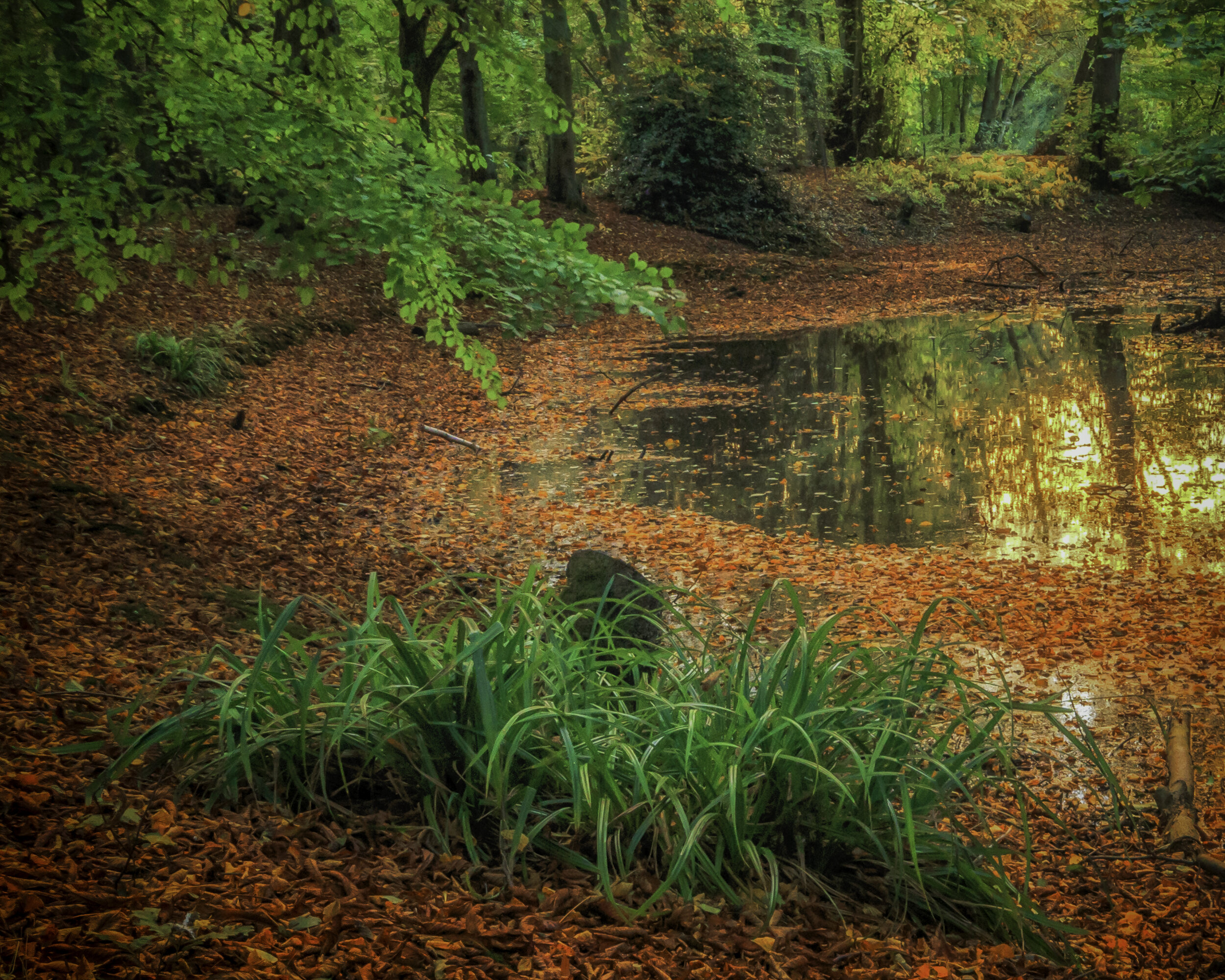 Autumn Reflections 2015.jpg