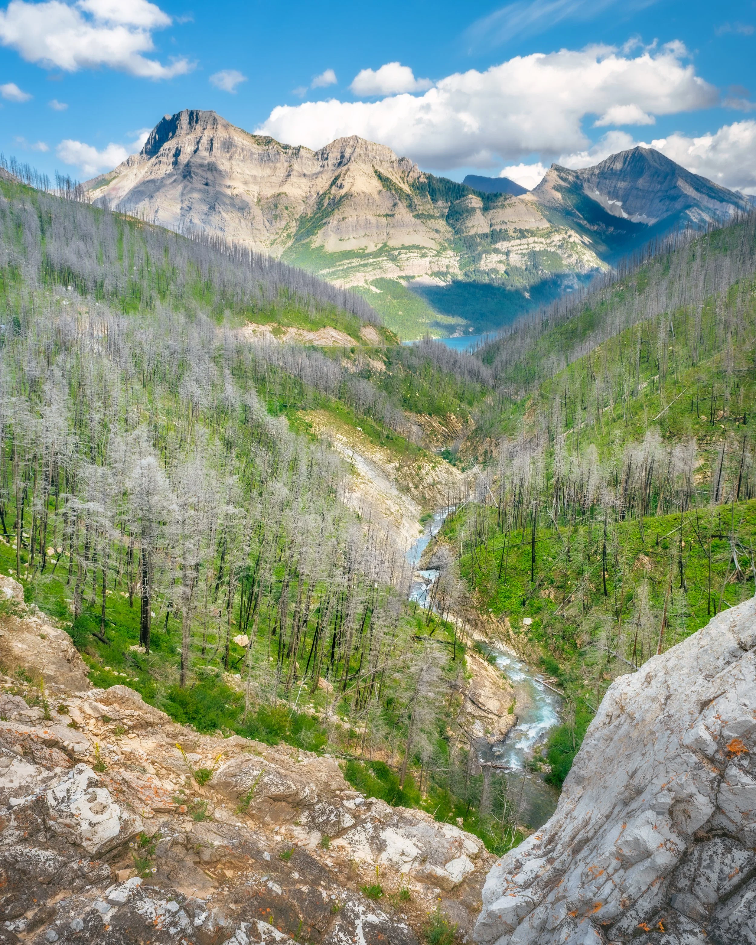 Rugged View with Mountains Waterton .jpg