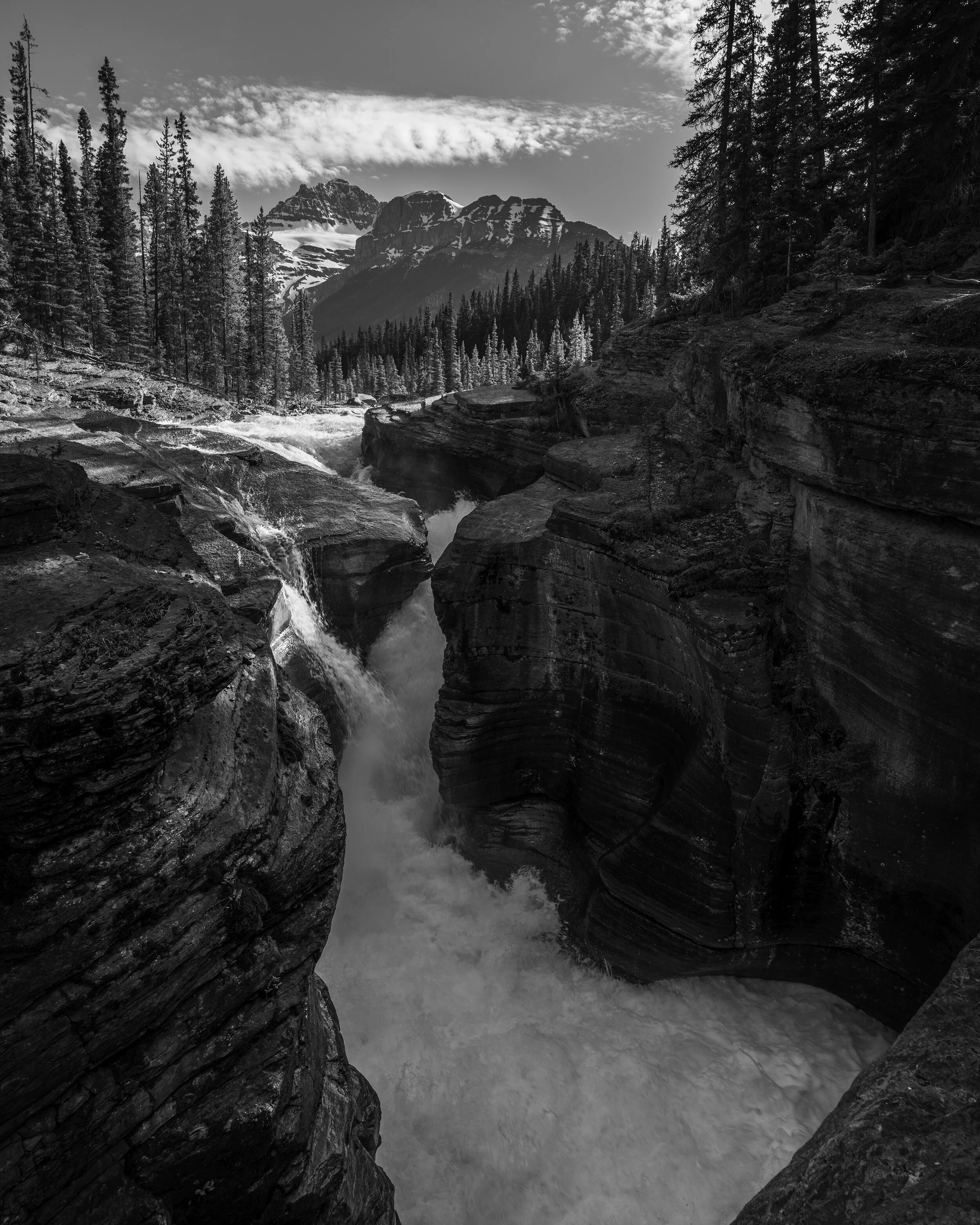 Black and White Mistaya June 2021 .jpg