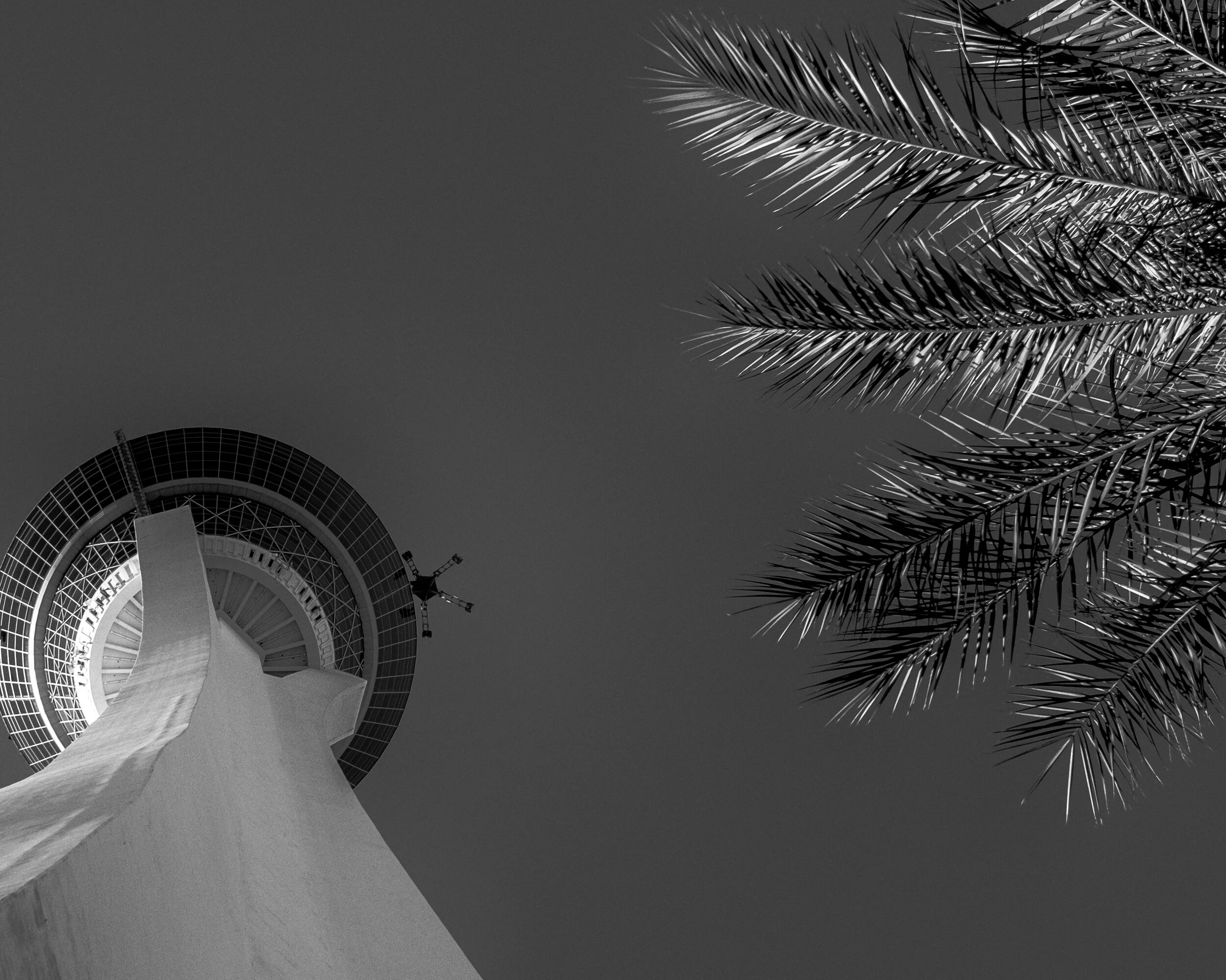 Stratosphere with Palm 2015 .jpg