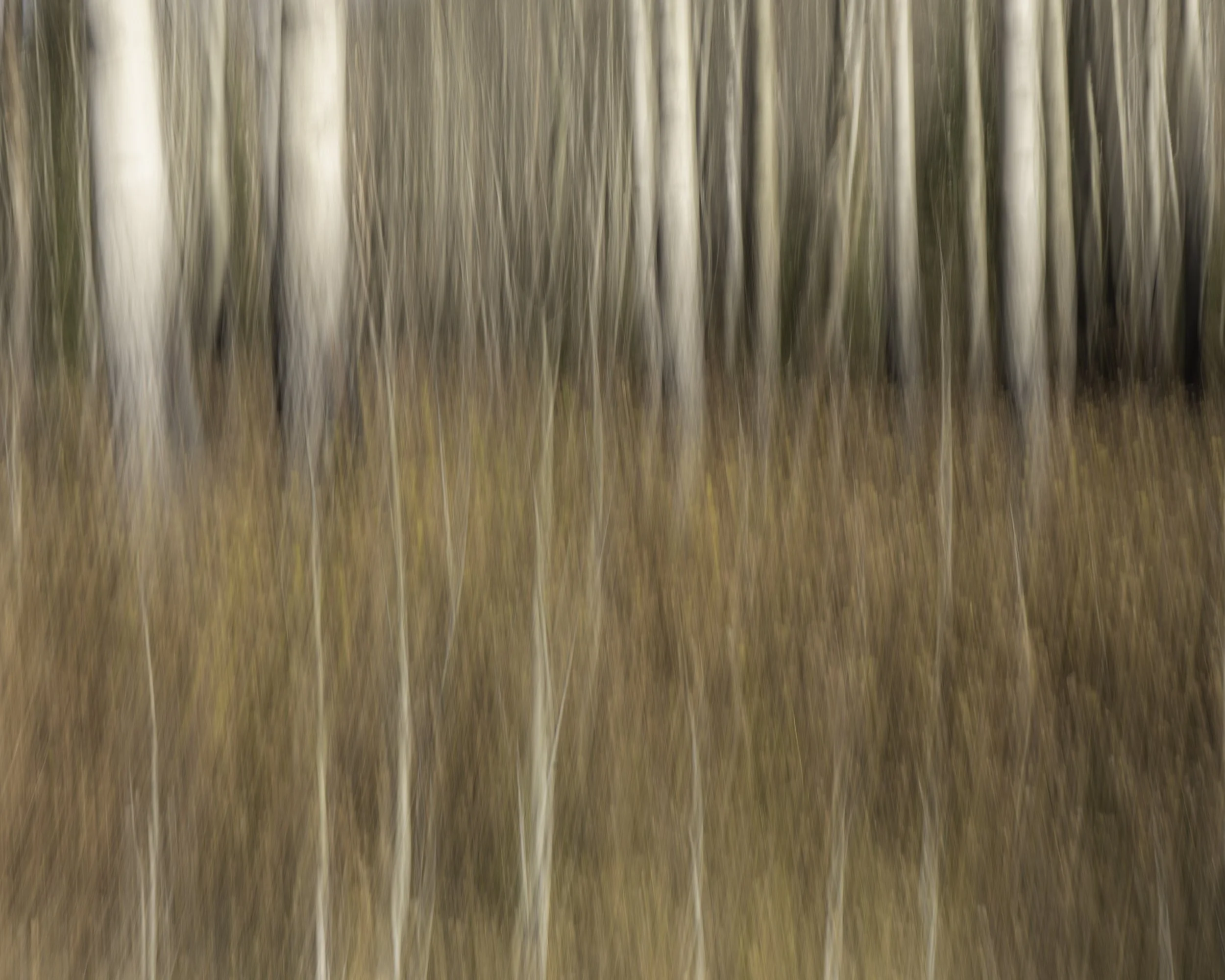 Fall Away October 2021 .jpg