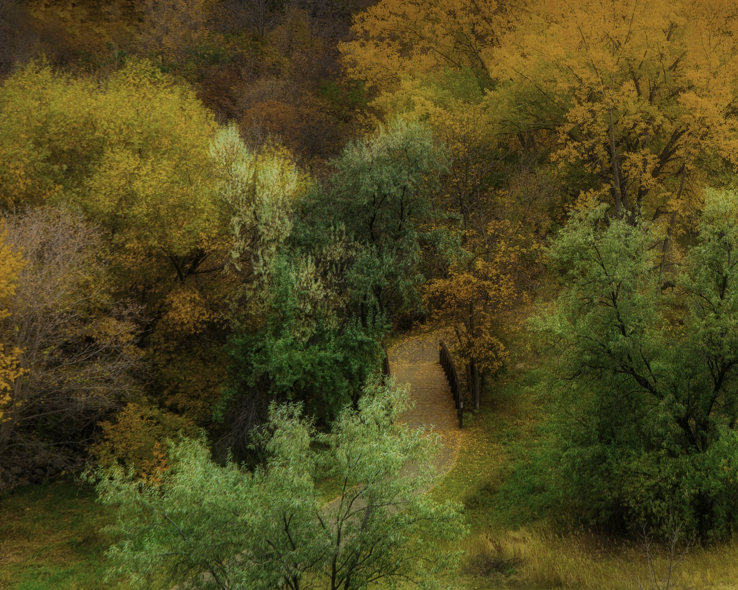 Fall Bliss Final 2020.jpg