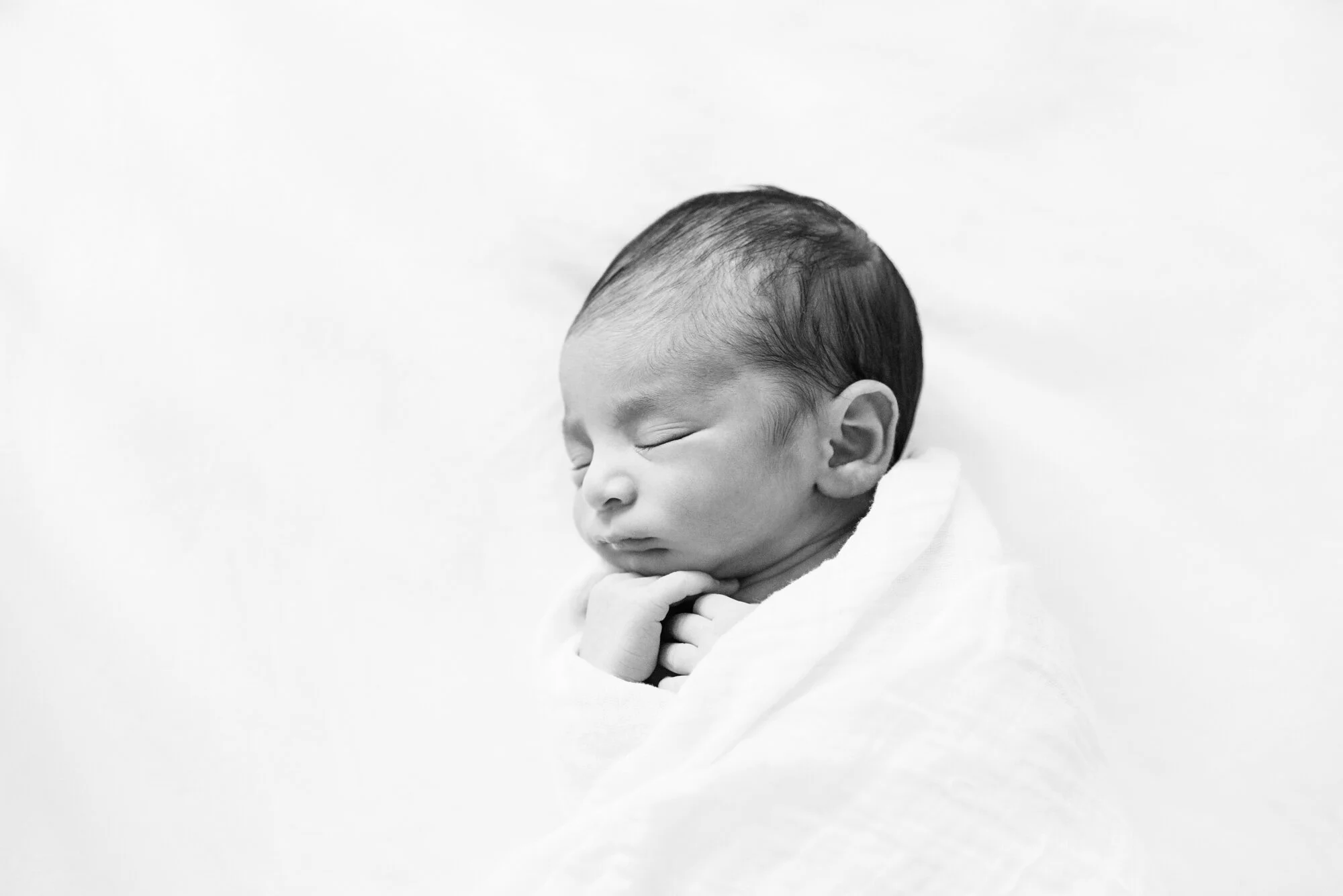 DSC_8290-2.jpeg