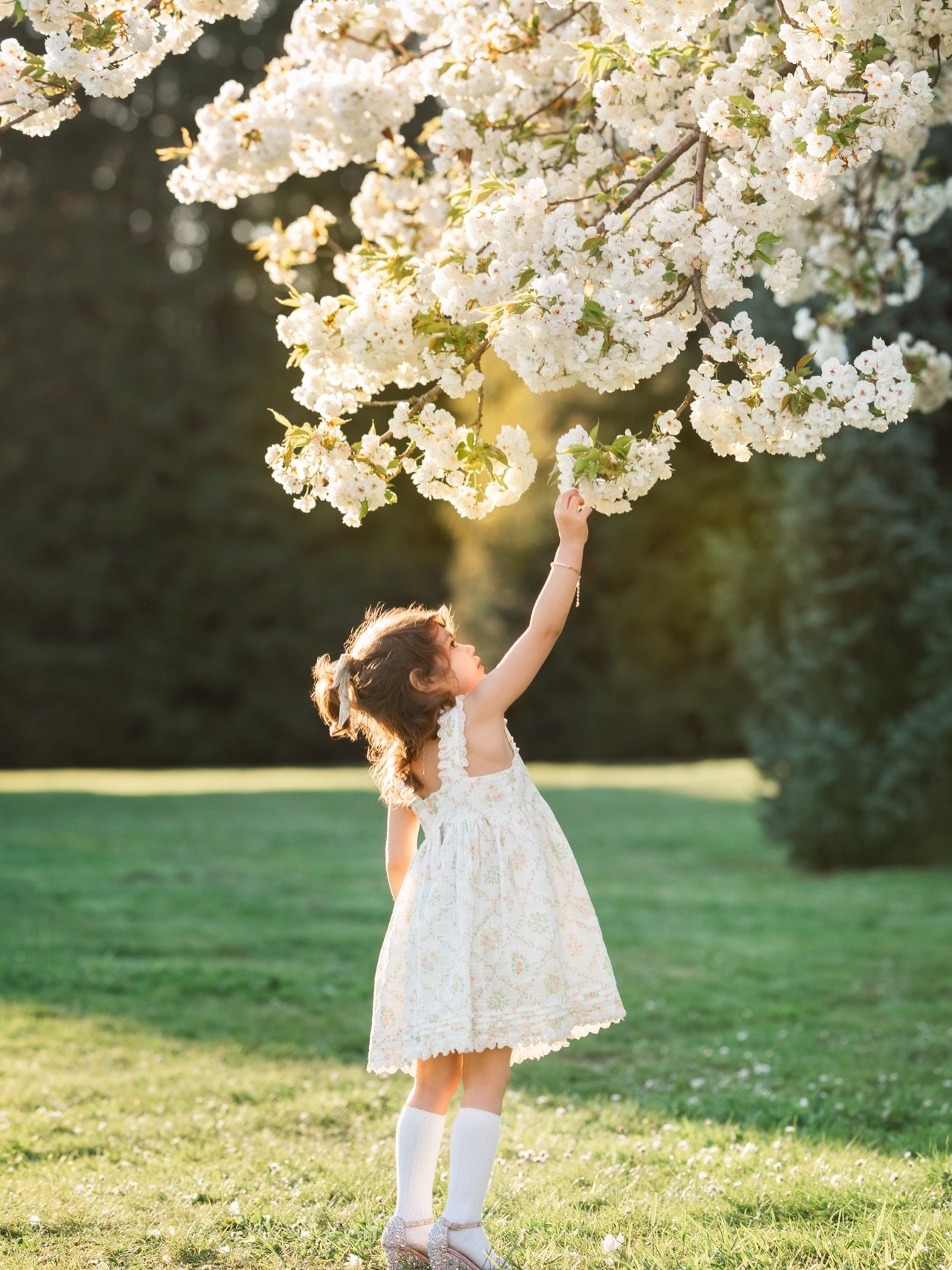 🌸Launching Cherry Blossom Sessions soon! 🌸

Bookings will open tomorrow and sent to our VIP list first! 
If you&rsquo;re not on the list, comment Pink, and we&rsquo;ll send you a link to sign up! 

Photoshoots will be scheduled for early April in V