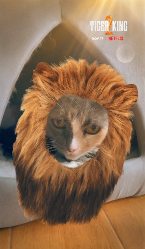 NETFLIX - Tiger King 2 