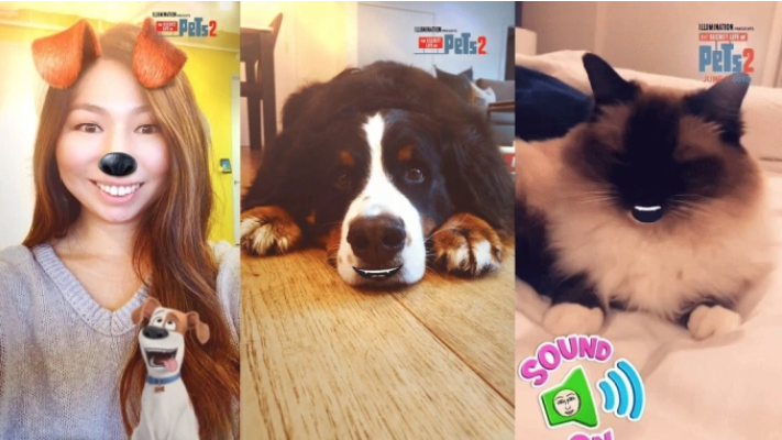 UNIVERSAL PICTURES - The Secret Life of Pets 2