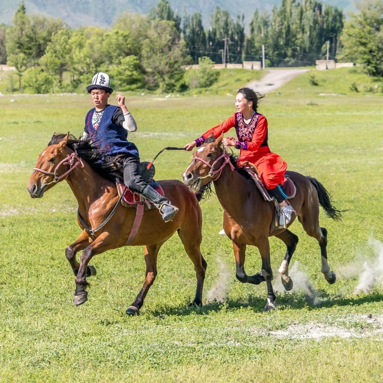 Horses 2.jpg