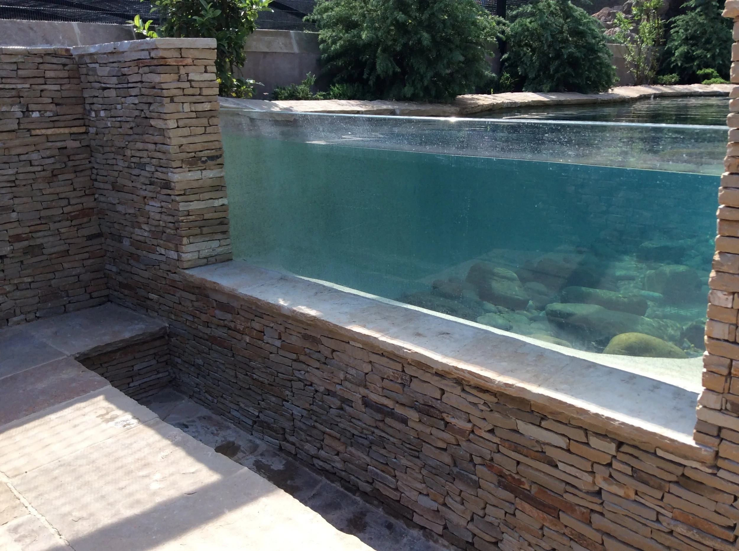 DICKSON AVIARY IMG_0184.JPG