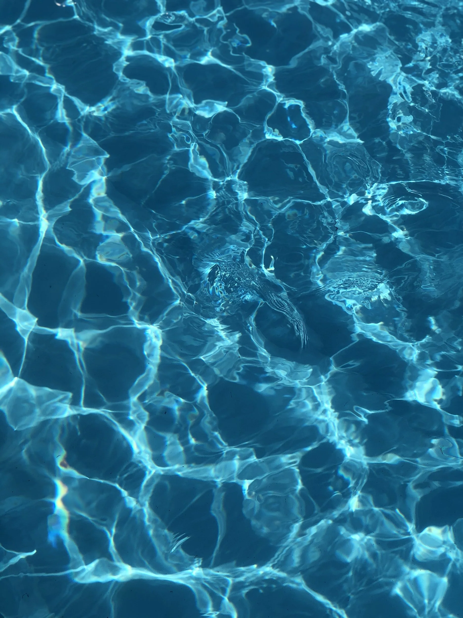 SWIMMING POOL WATER